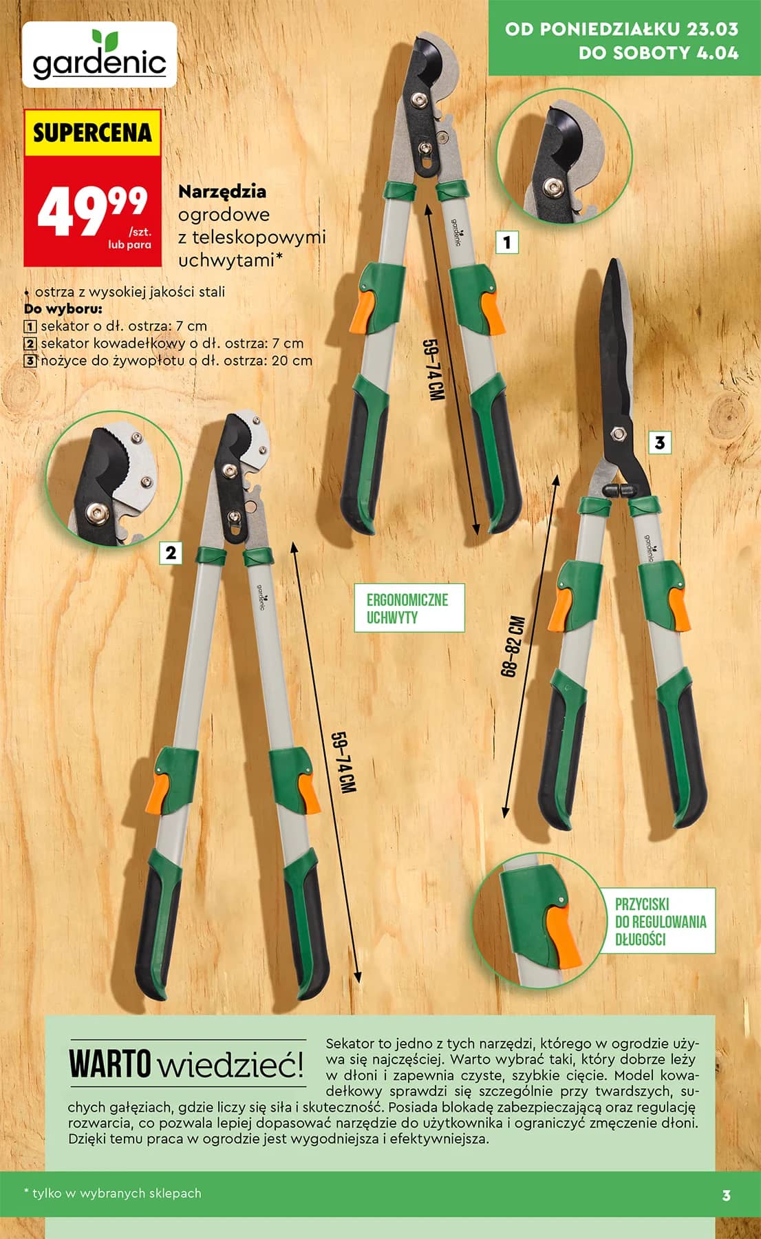 Biedronka - Ogród od 23.03 3 puslapis