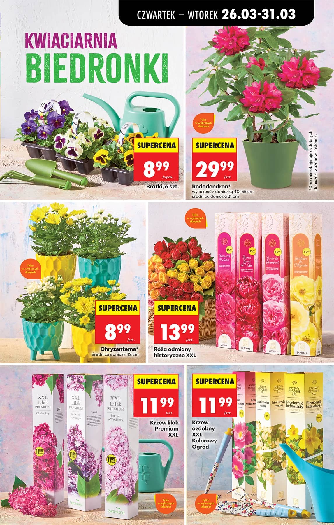 Biedronka - Codziennie niskie ceny P - oferta od 26.03 85 puslapis