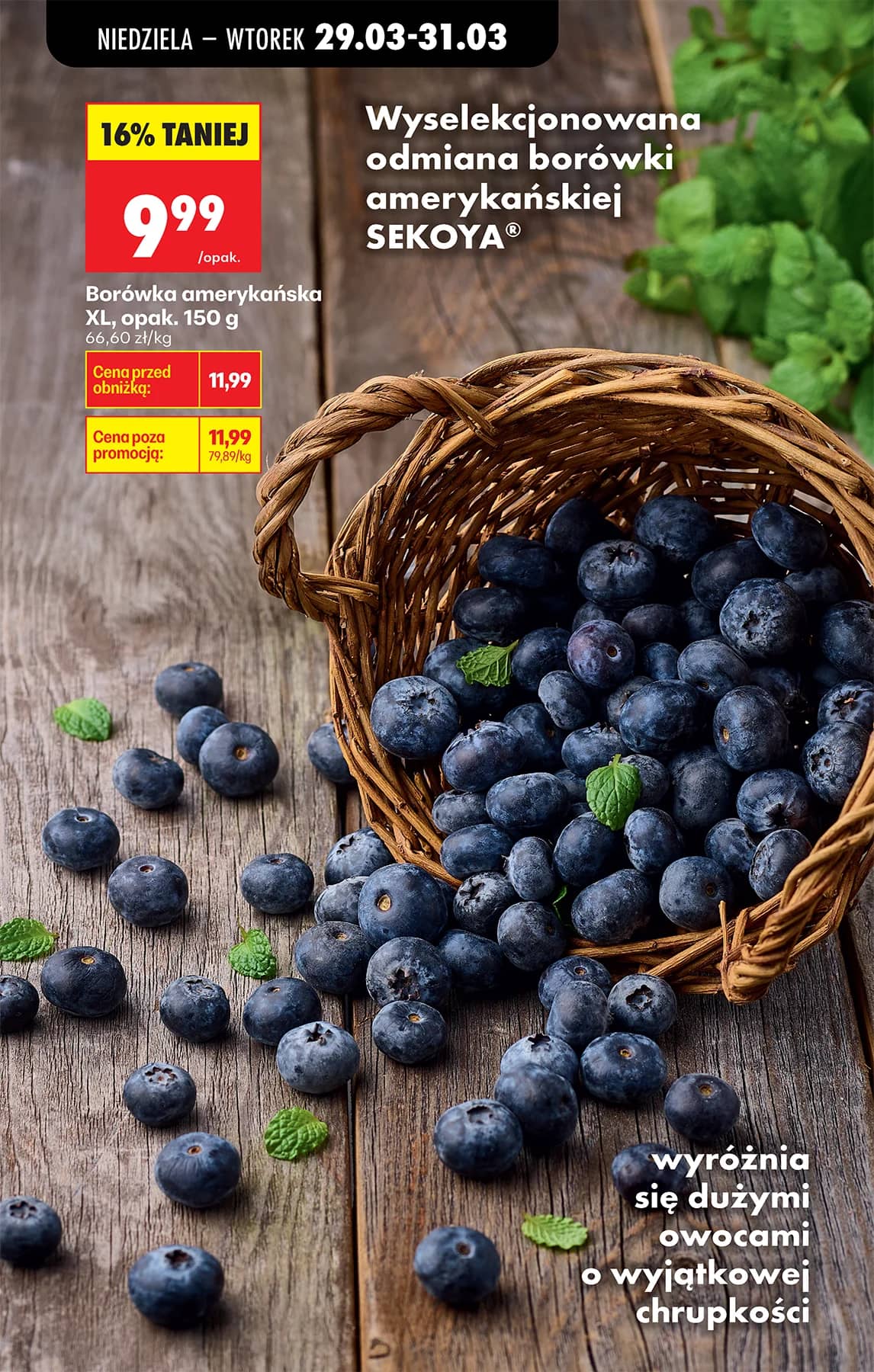 Biedronka - Codziennie niskie ceny P - oferta od 29.03 101 puslapis