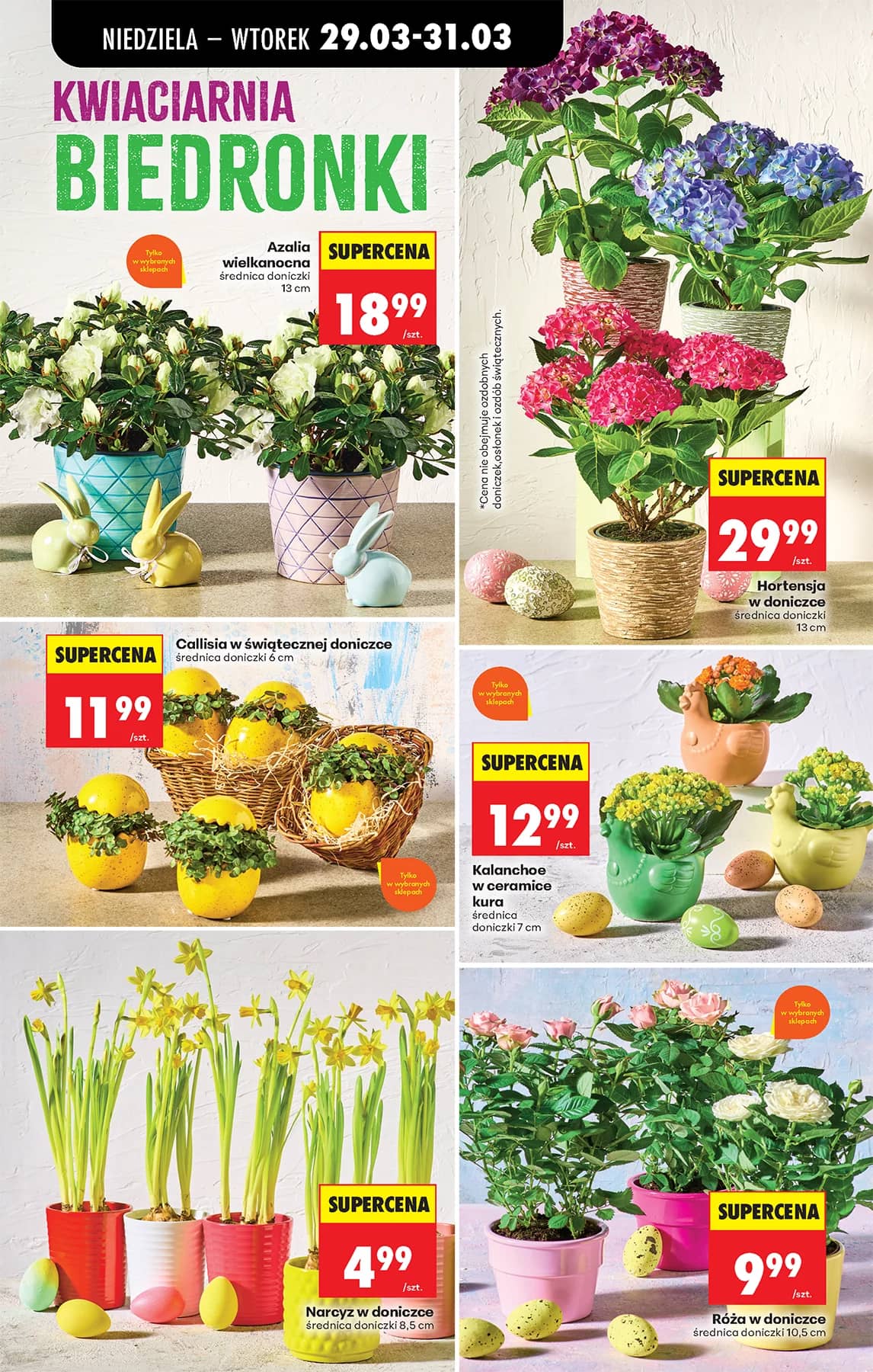 Biedronka - Codziennie niskie ceny P - oferta od 29.03 31 puslapis