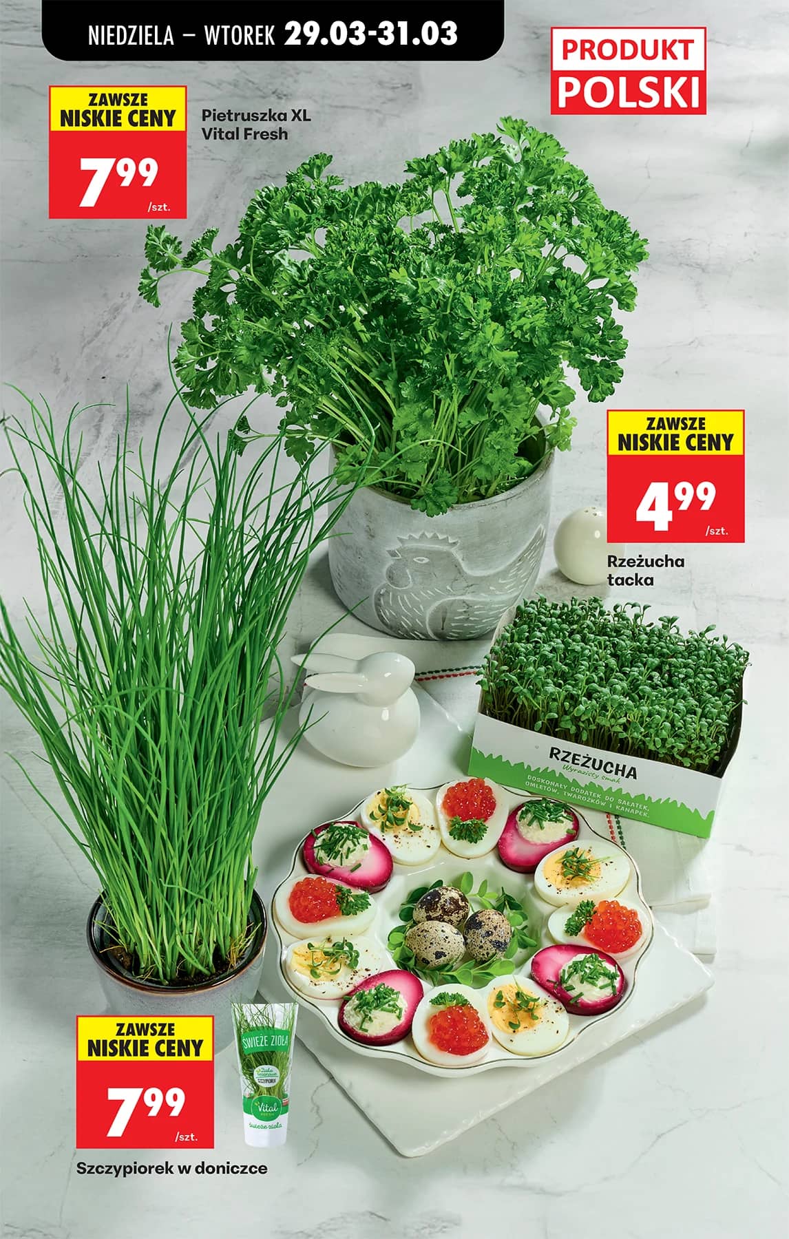 Biedronka - Codziennie niskie ceny P - oferta od 29.03 33 puslapis