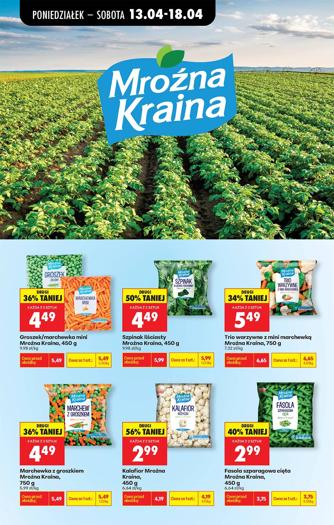 Biedronka - Biedronki niskie ceny P oferta od 13.04 43 puslapis