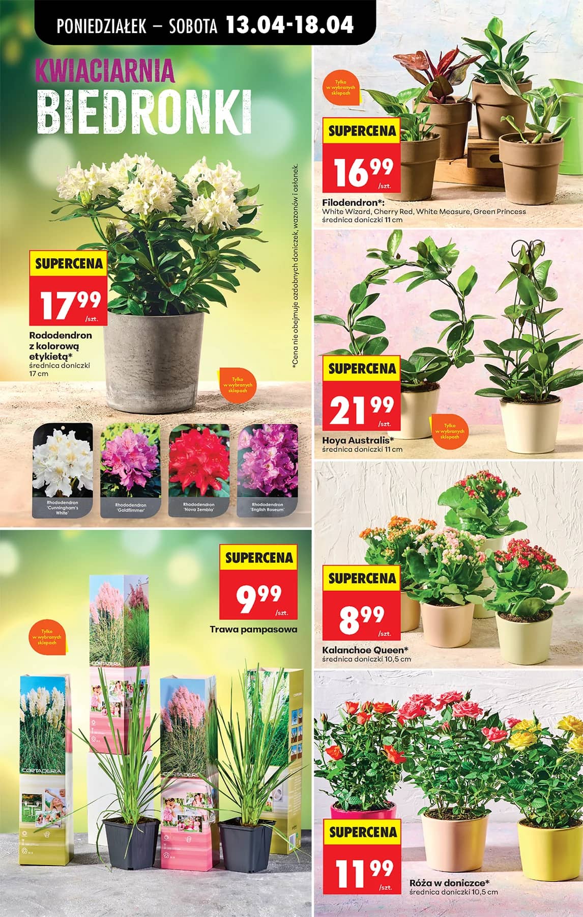 Biedronka - Biedronki niskie ceny P oferta od 13.04 83 puslapis