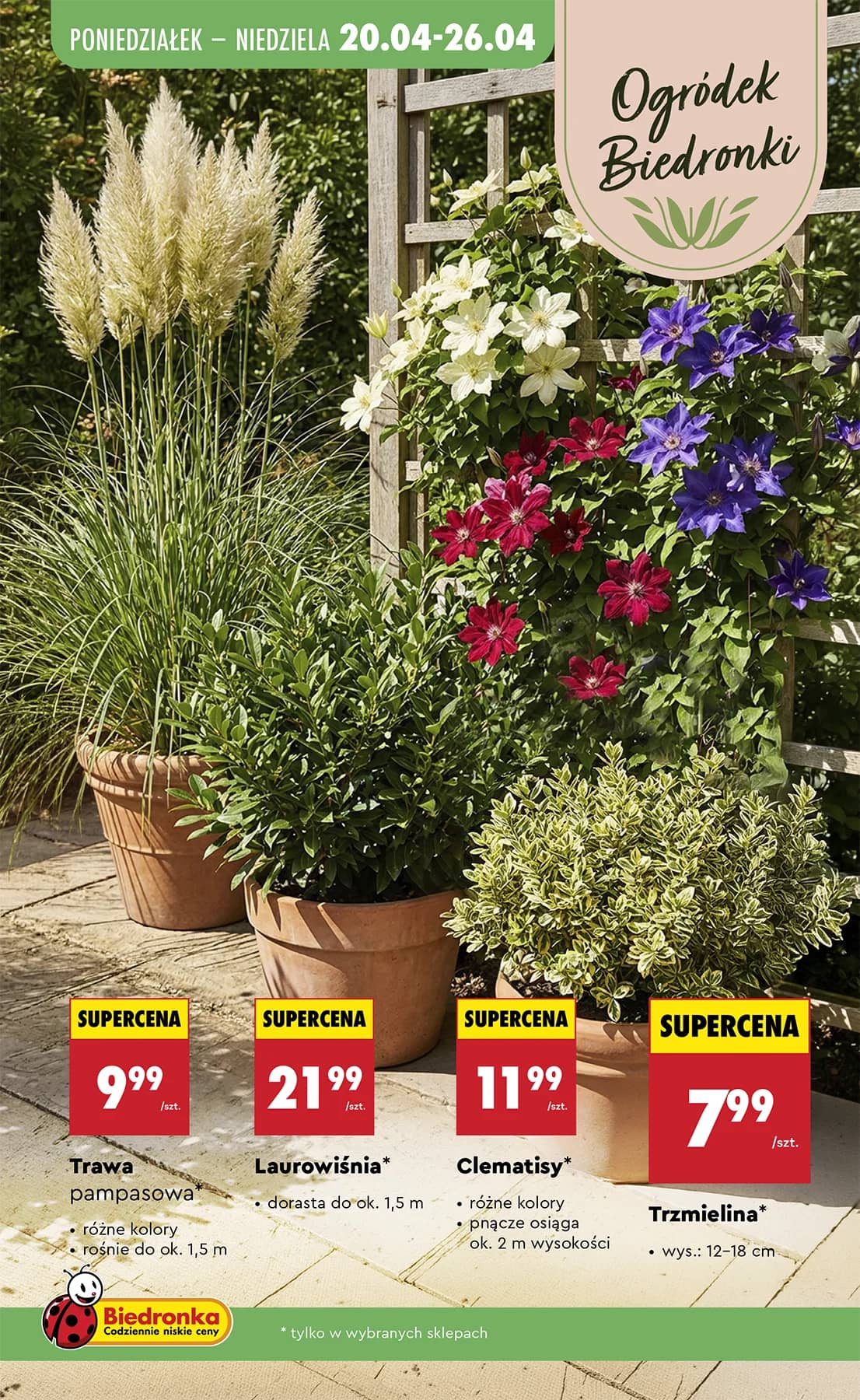 Biedronka - Codziennie niskie ceny P - oferta od 20.04 113 puslapis