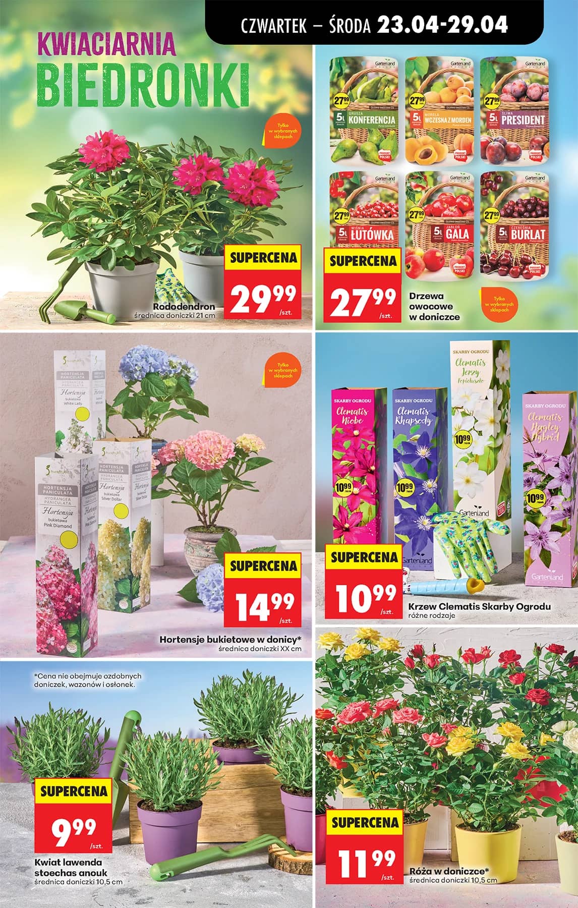 Biedronka - Codziennie niskie ceny P - oferta od 23.04 95 puslapis