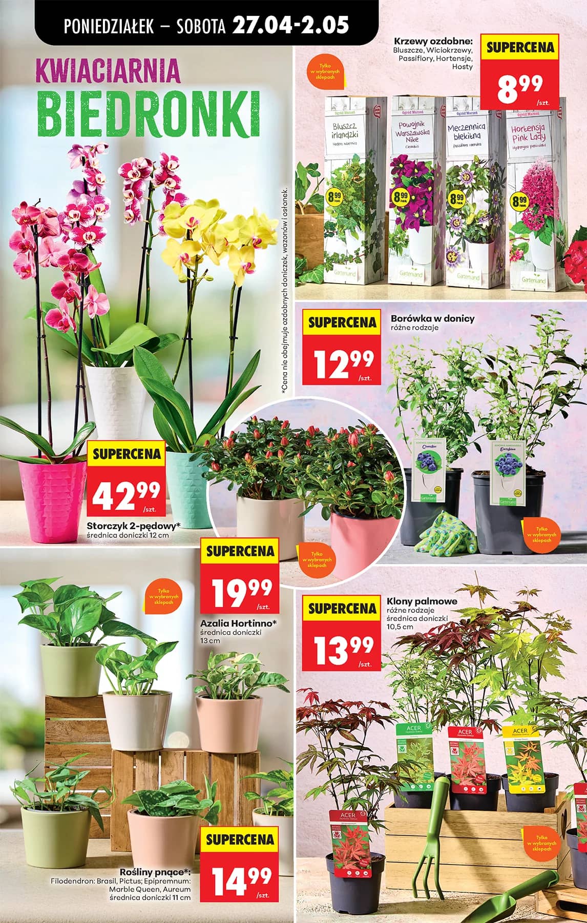 Biedronka - Biedronki niskie ceny P oferta od 27.04 102 puslapis