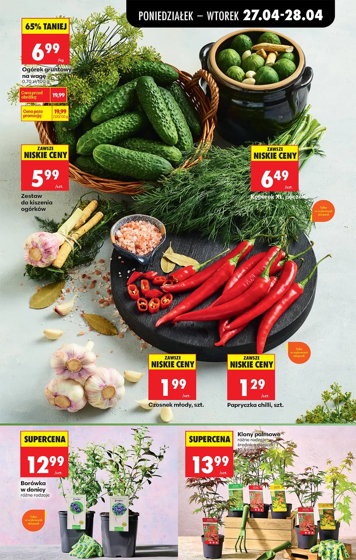 Biedronka - Biedronki niskie ceny P oferta od 27.04 51 puslapis