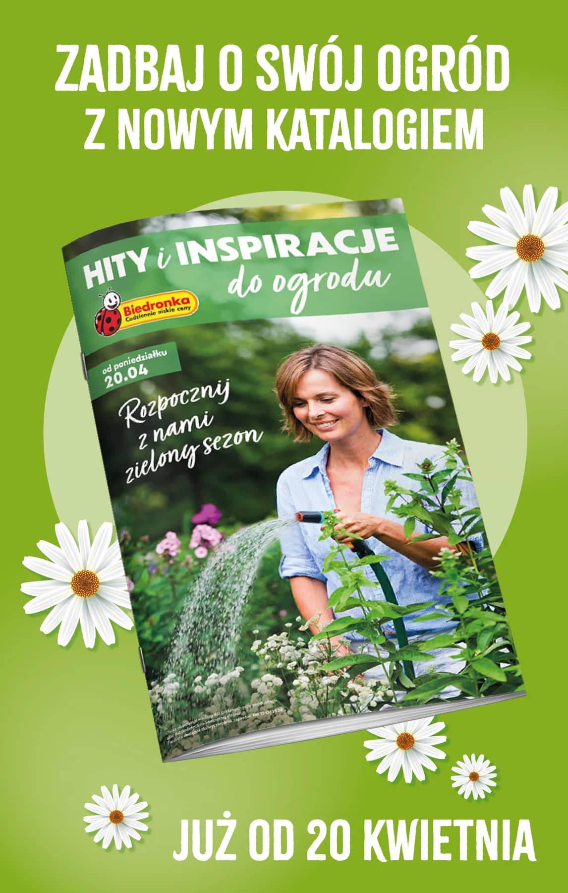 Biedronka - Biedronki niskie ceny P oferta od 27.04 99 puslapis