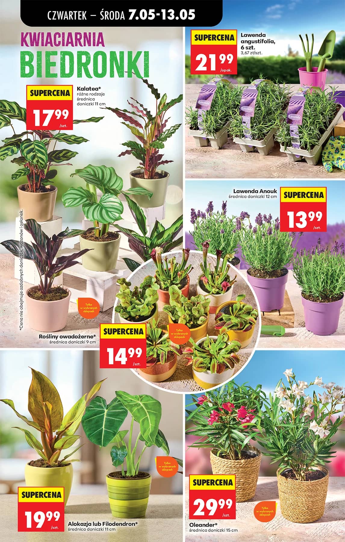 Biedronka - Codziennie niskie ceny P - oferta od 7.05 87 puslapis