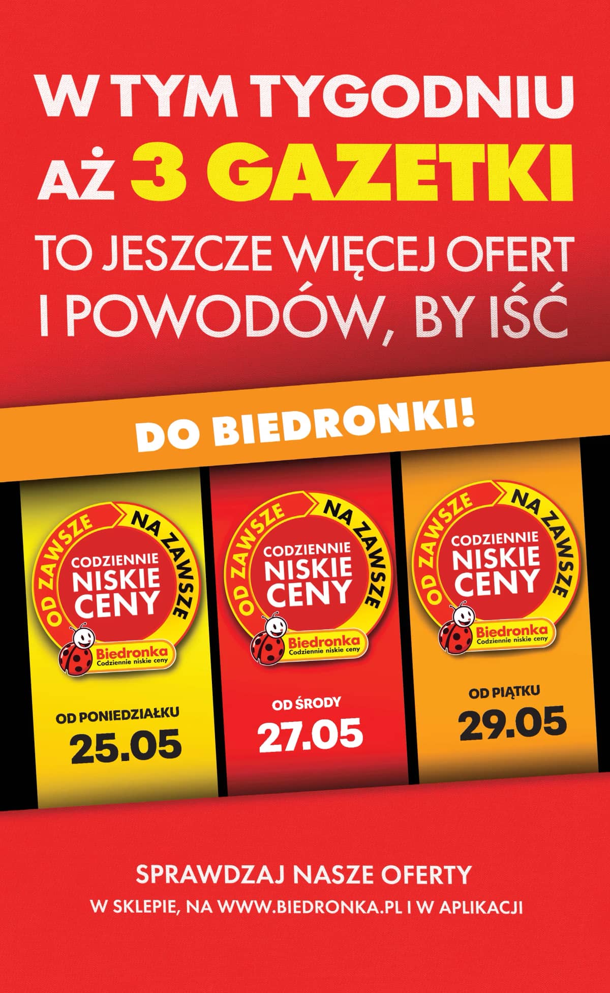 Biedronka - Codziennie niskie ceny P - oferta od 27.05 2 puslapis