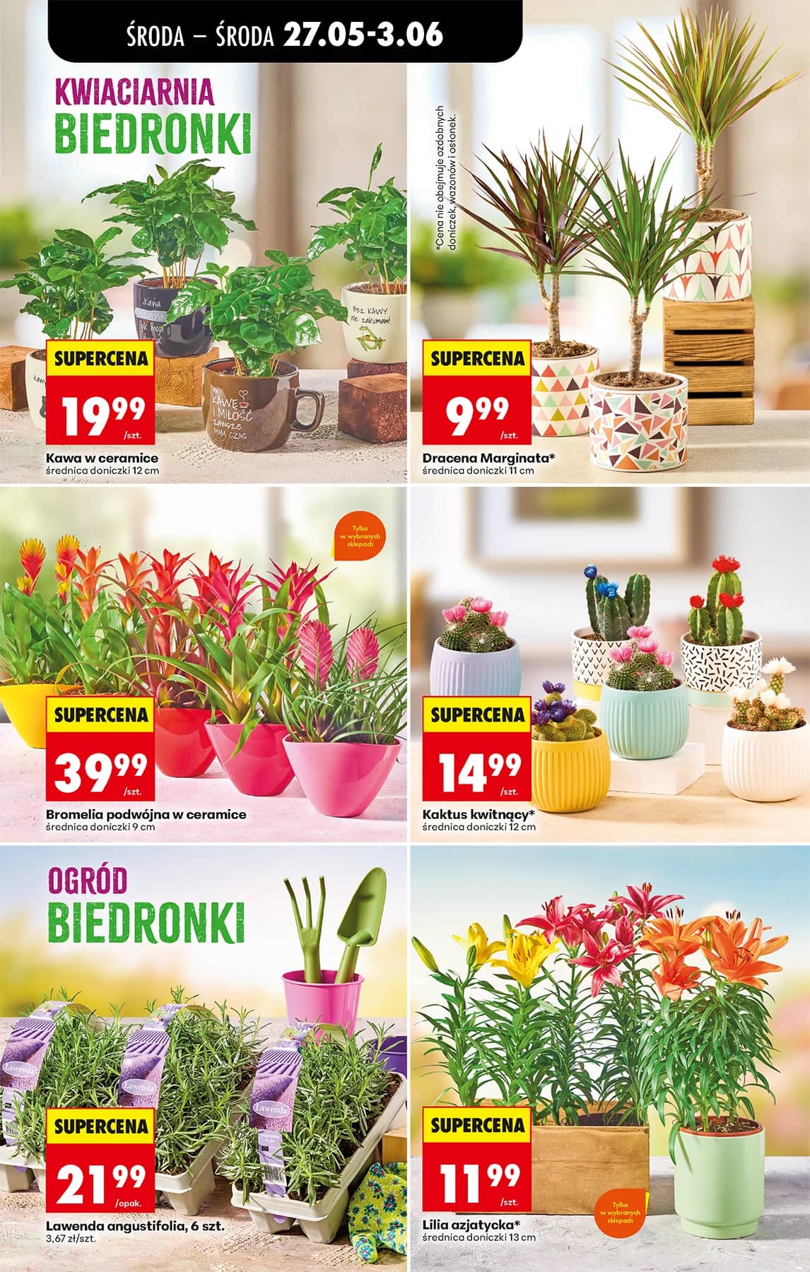 Biedronka - Codziennie niskie ceny P - oferta od 27.05 33 puslapis