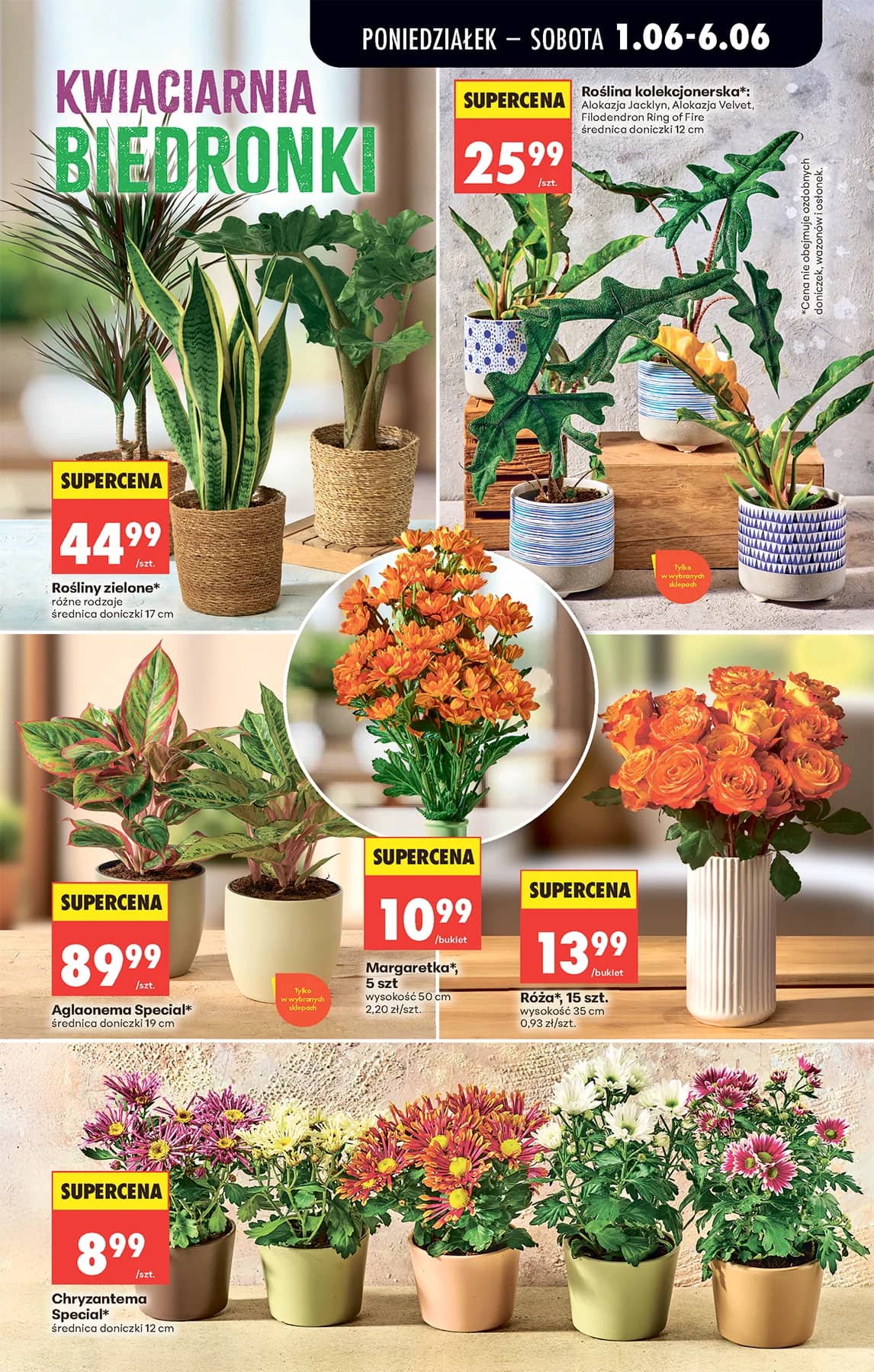 Biedronka - Codziennie niskie ceny P - oferta od 01.06 34 puslapis