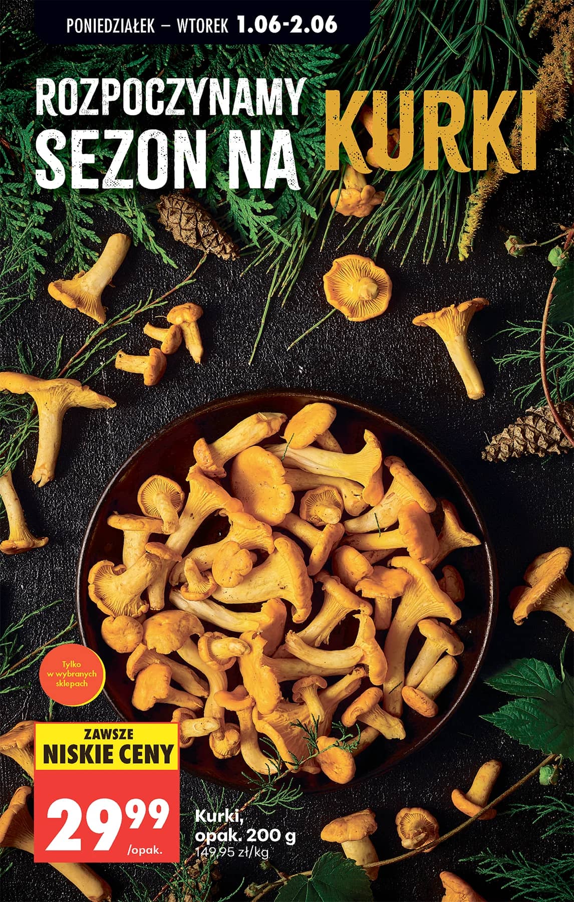 Biedronka - Codziennie niskie ceny P - oferta od 01.06 35 puslapis
