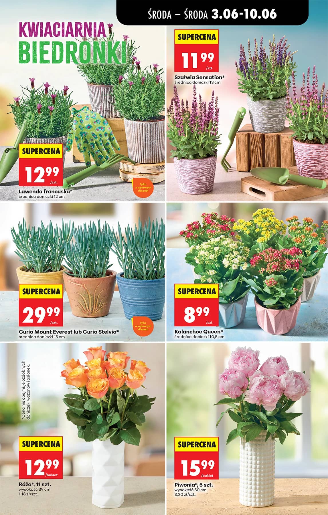 Biedronka - Codziennie niskie ceny P - oferta od 3.06 73 puslapis