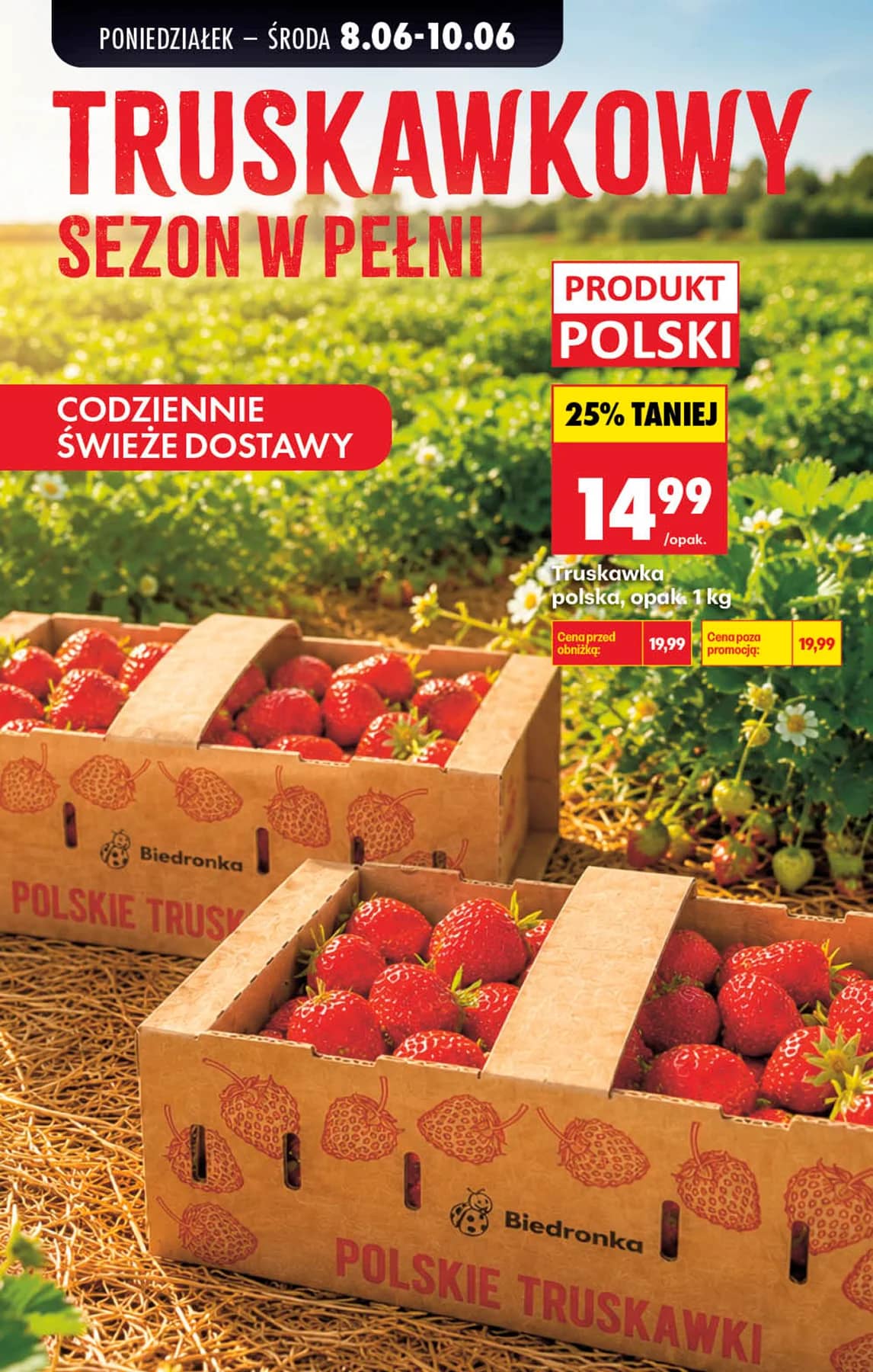 Biedronka - Codziennie niskie ceny P - oferta od 8.06 87 puslapis