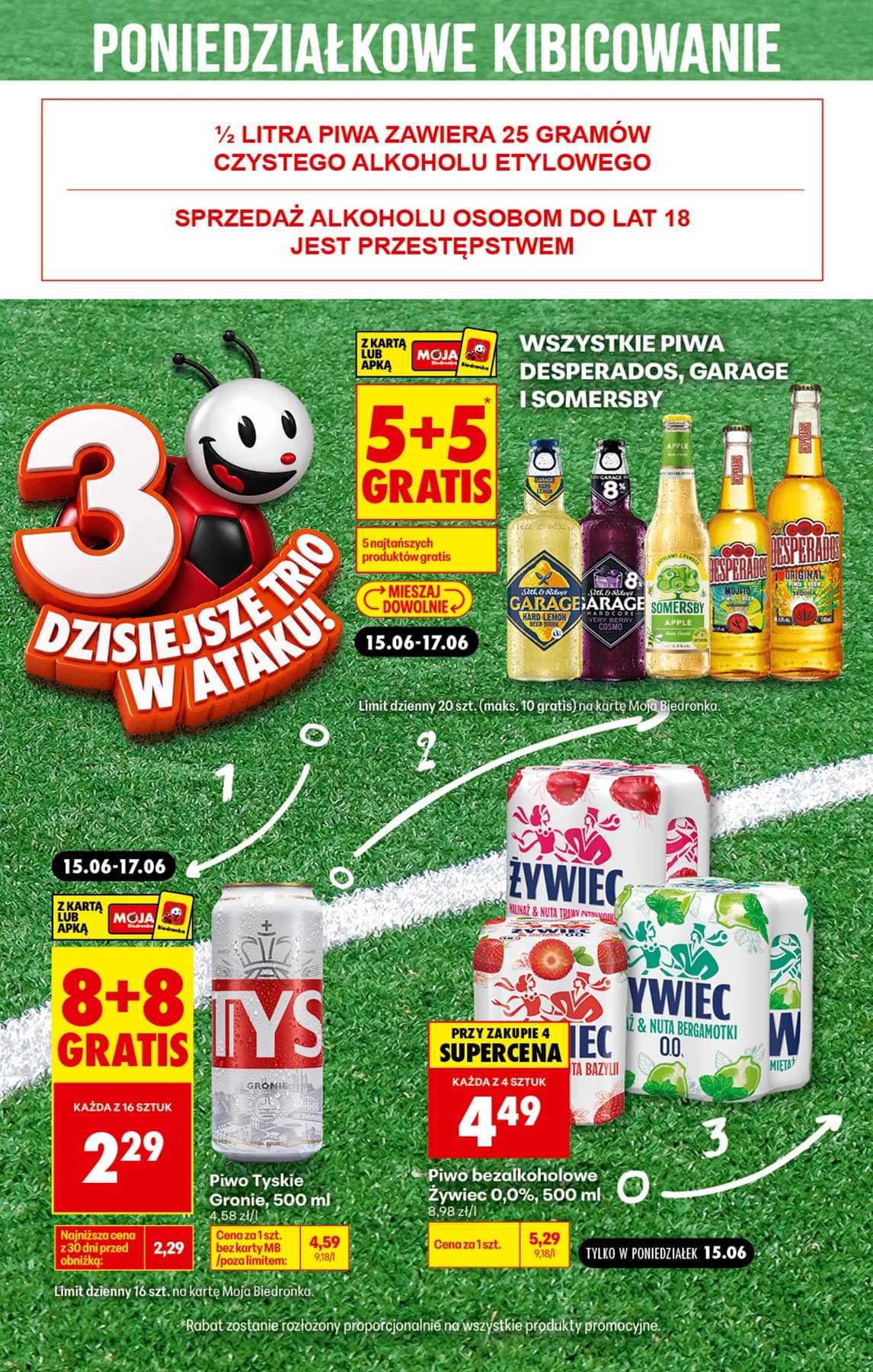 Biedronka - Ceny w grze - oferta 15.06 3 puslapis