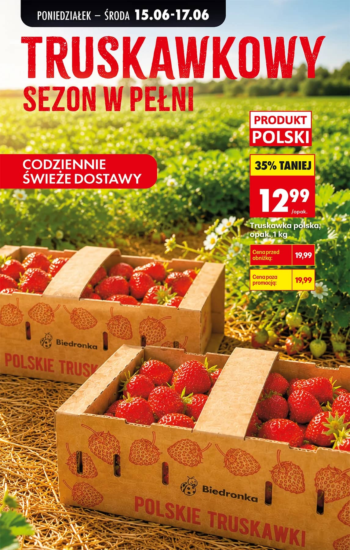 Biedronka - Codziennie niskie ceny P - oferta od 15.06 33 puslapis