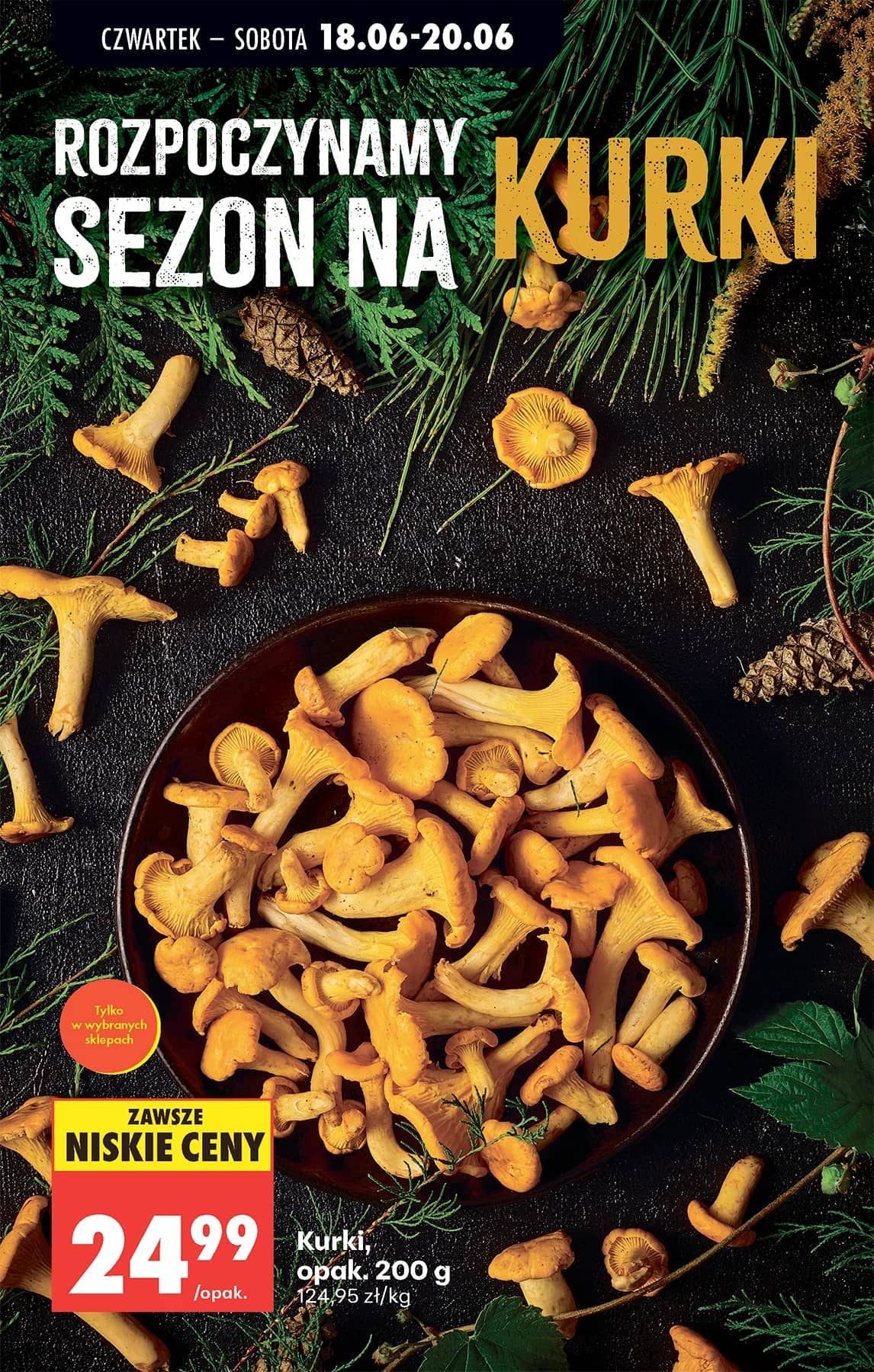 Biedronka - Codziennie niskie ceny P - oferta od 18.06 37 puslapis