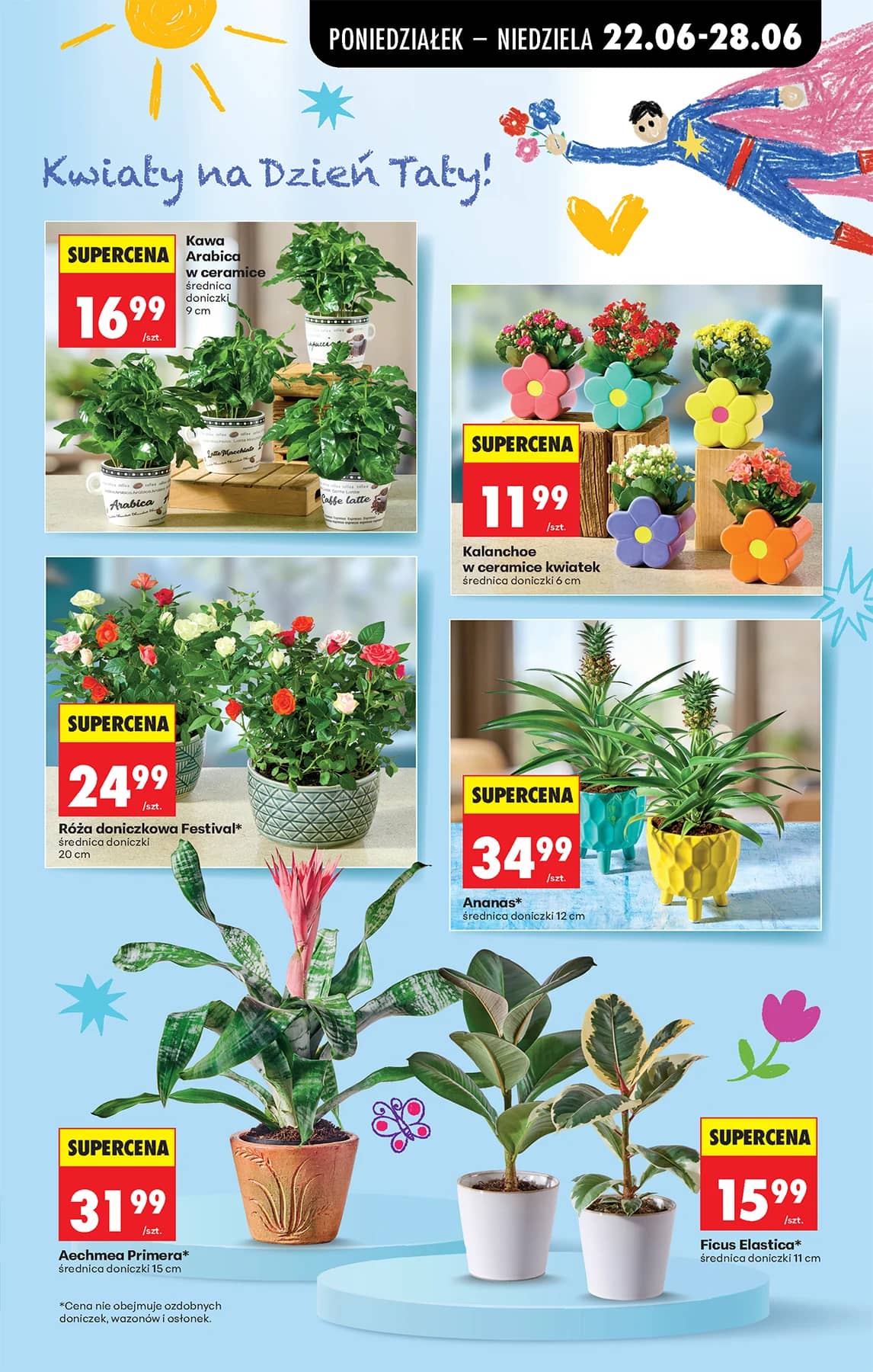 Biedronka - Codziennie niskie ceny P - oferta od 22.06 7 puslapis