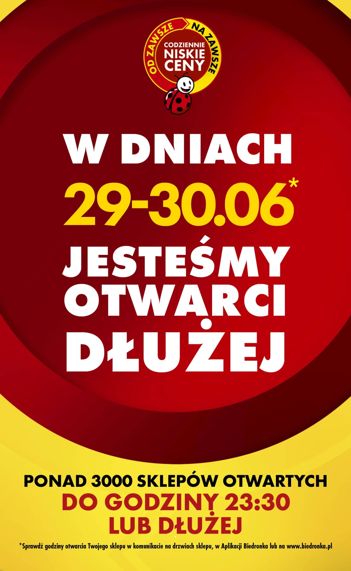 Biedronka - Tani weekend od 26.06 8 puslapis
