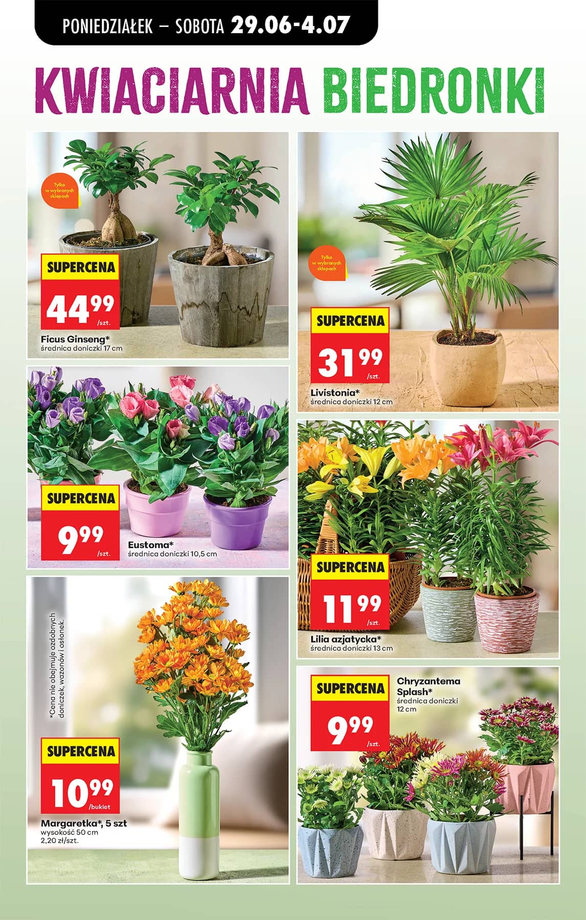 Biedronka - Codziennie niskie ceny P - oferta od 29.06 35 puslapis