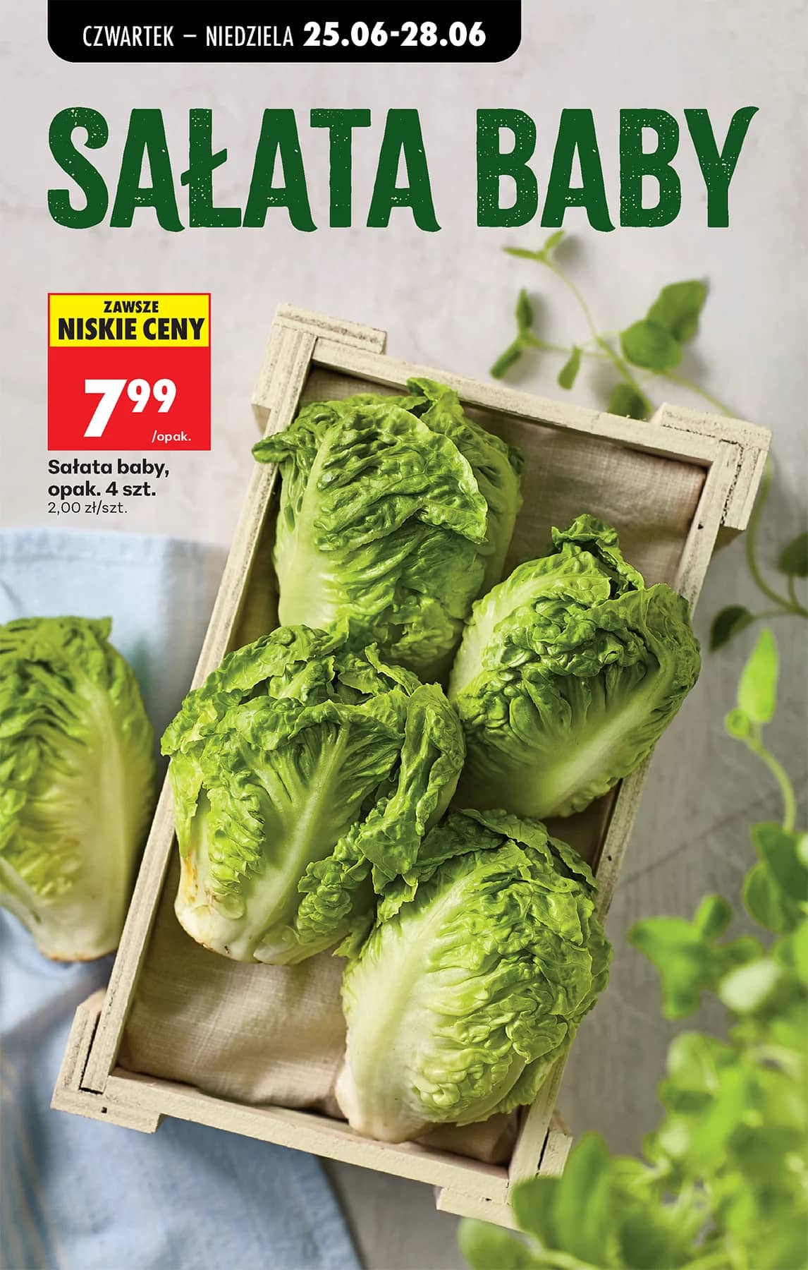 Biedronka - Codziennie niskie ceny P - oferta od 25.06 29 puslapis