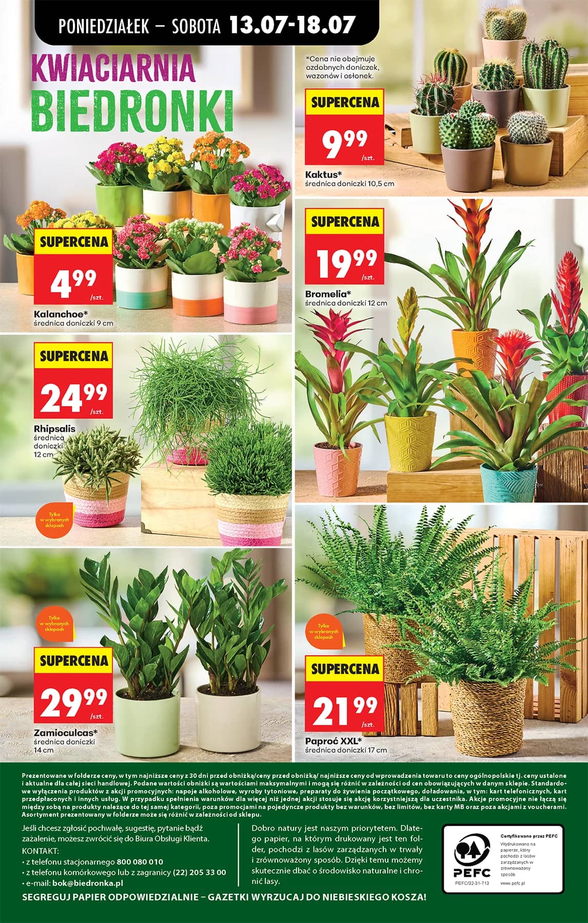 Biedronka - Codziennie niskie ceny P - oferta od 13.07 103 puslapis
