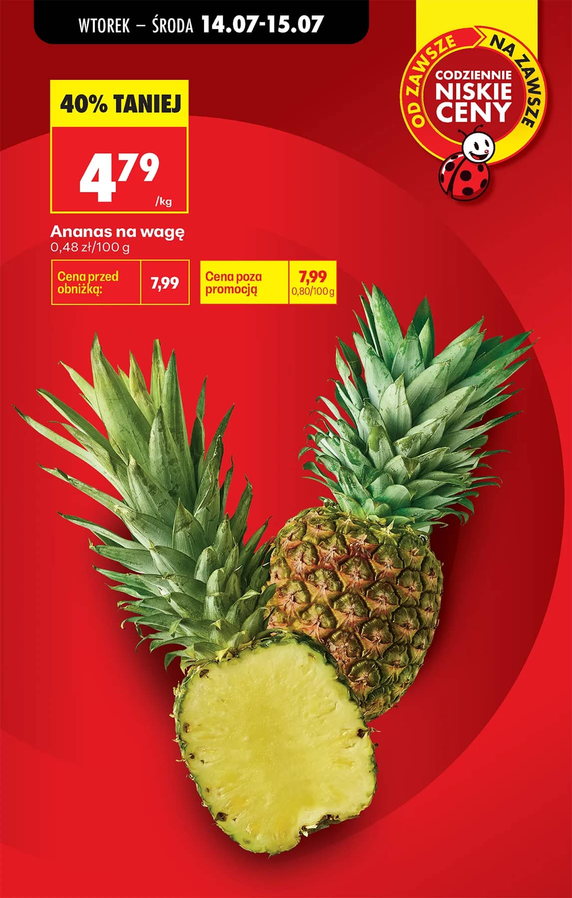 Biedronka - Codziennie niskie ceny P - oferta od 13.07 3 puslapis