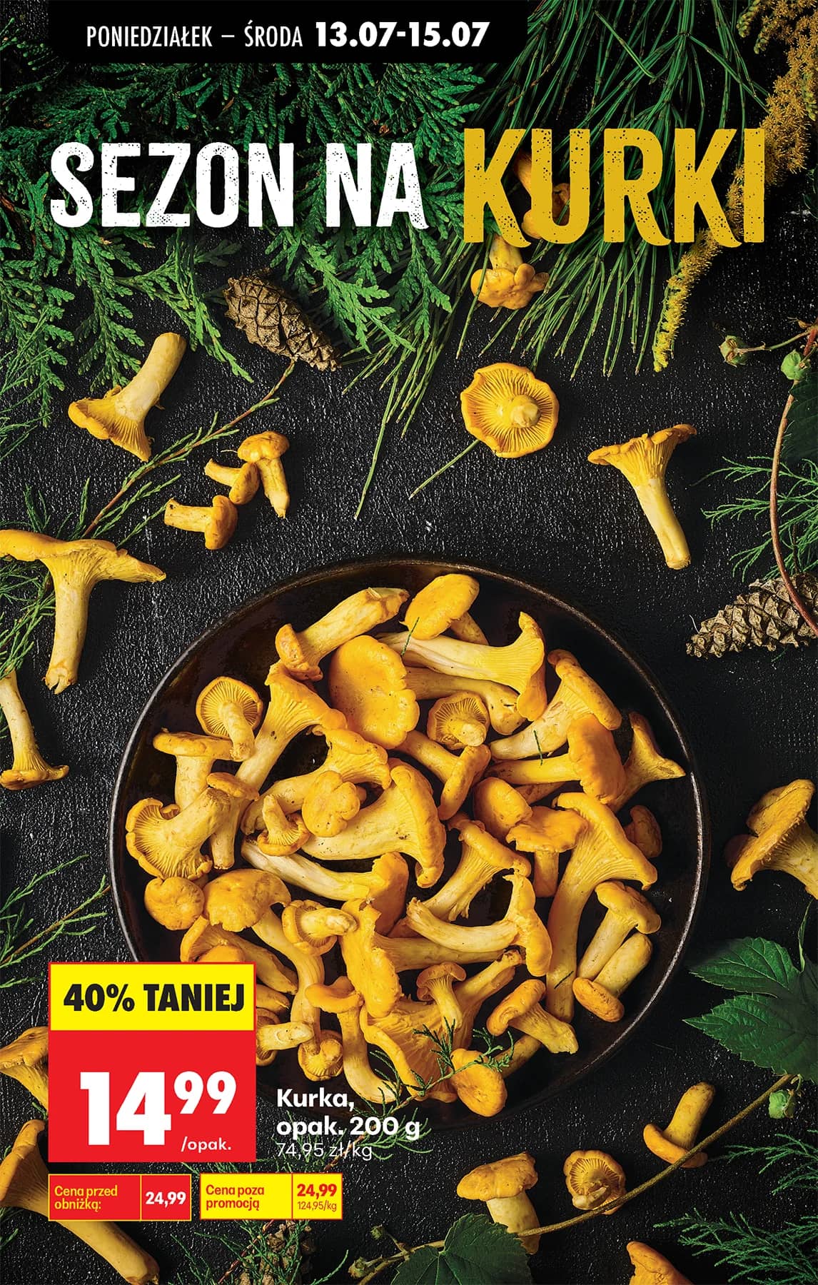 Biedronka - Codziennie niskie ceny P - oferta od 13.07 47 puslapis