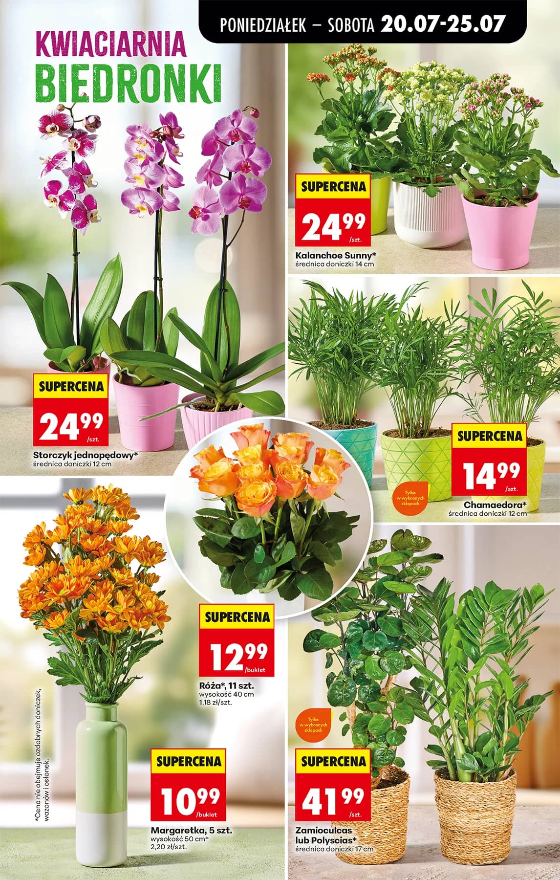 Biedronka - Codziennie niskie ceny P - oferta od 20.07 85 puslapis