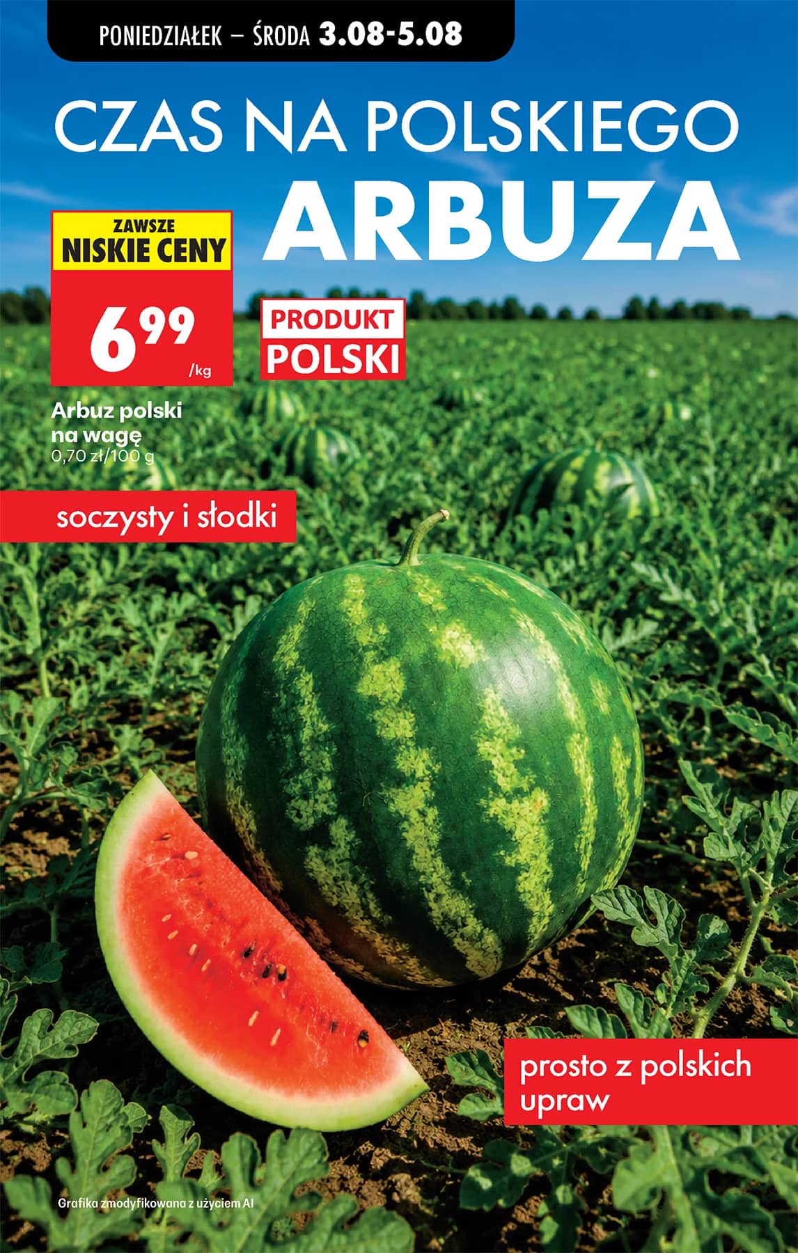 Biedronka - Codziennie niskie ceny P - oferta od 03.08 29 puslapis