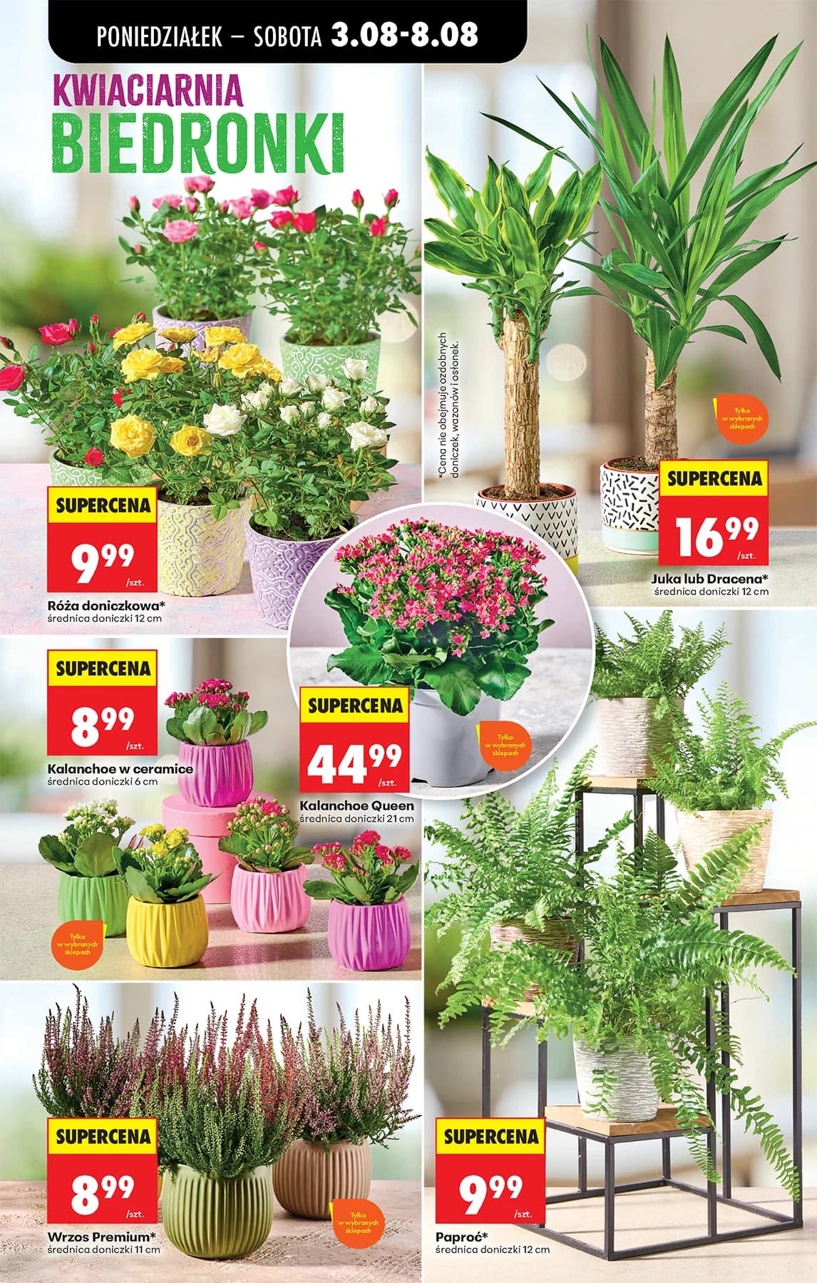 Biedronka - Codziennie niskie ceny P - oferta od 03.08 30 puslapis