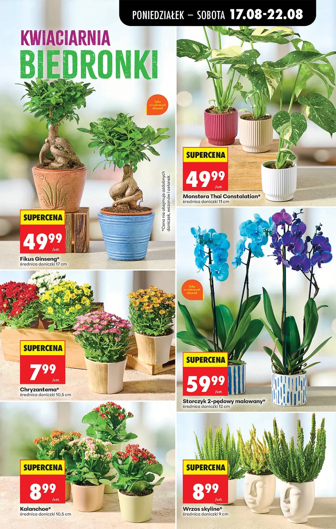 Biedronka - Codziennie niskie ceny P - oferta od 17.08 81 puslapis