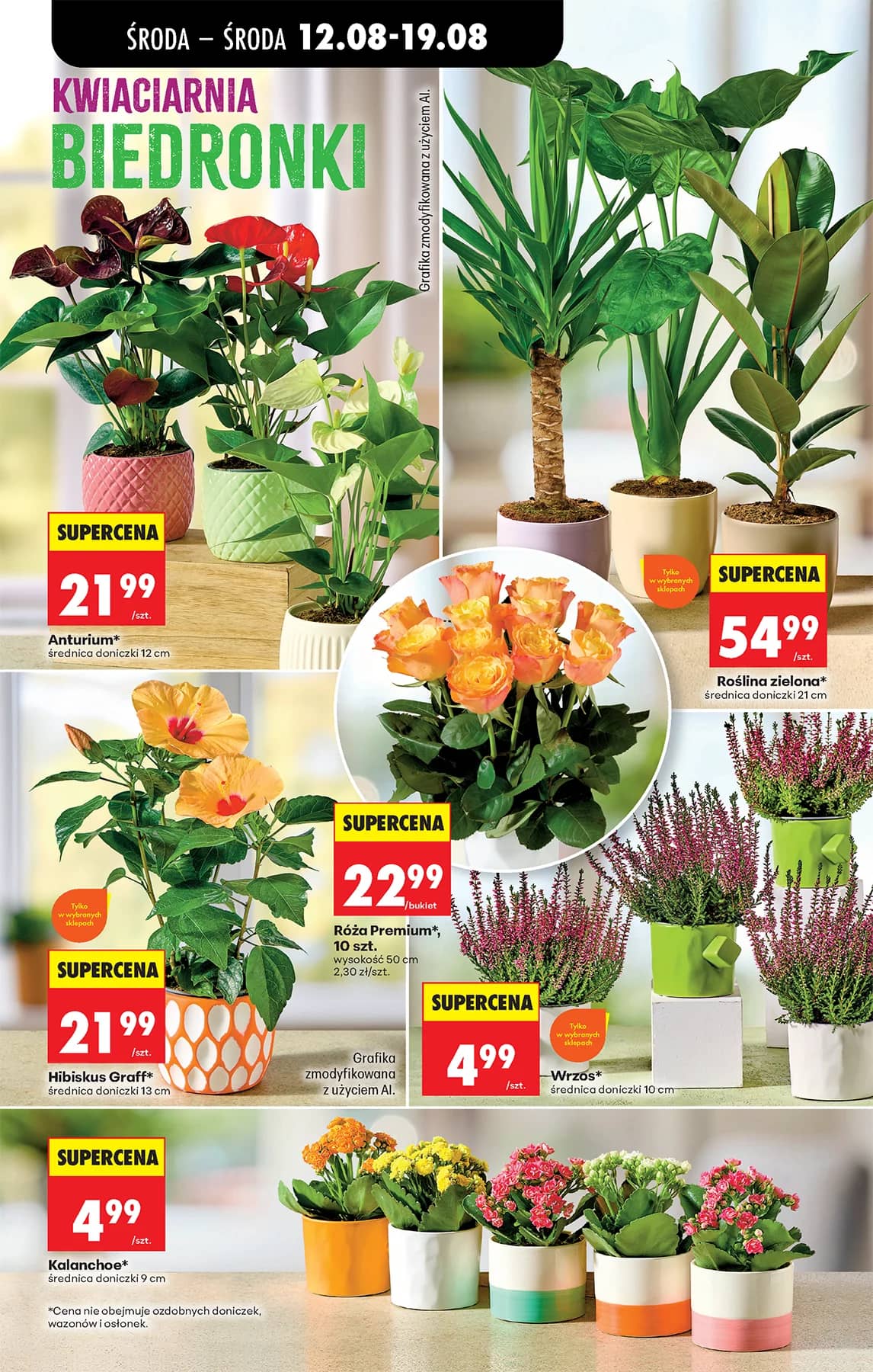Biedronka - Codziennie niskie ceny P - oferta od 12.08 87 puslapis