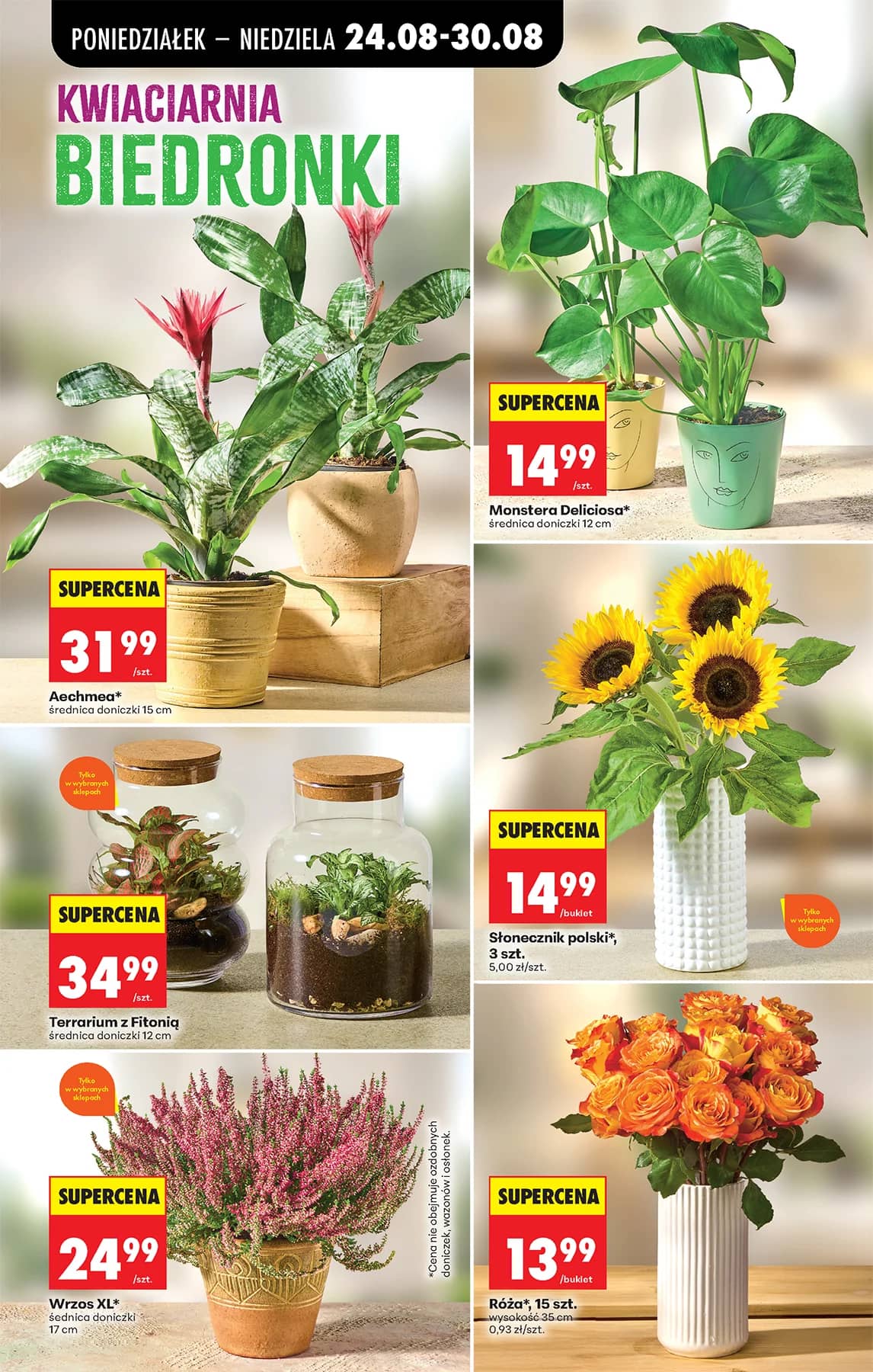 Biedronka - Codziennie niskie ceny P - oferta od 24.08 37 puslapis