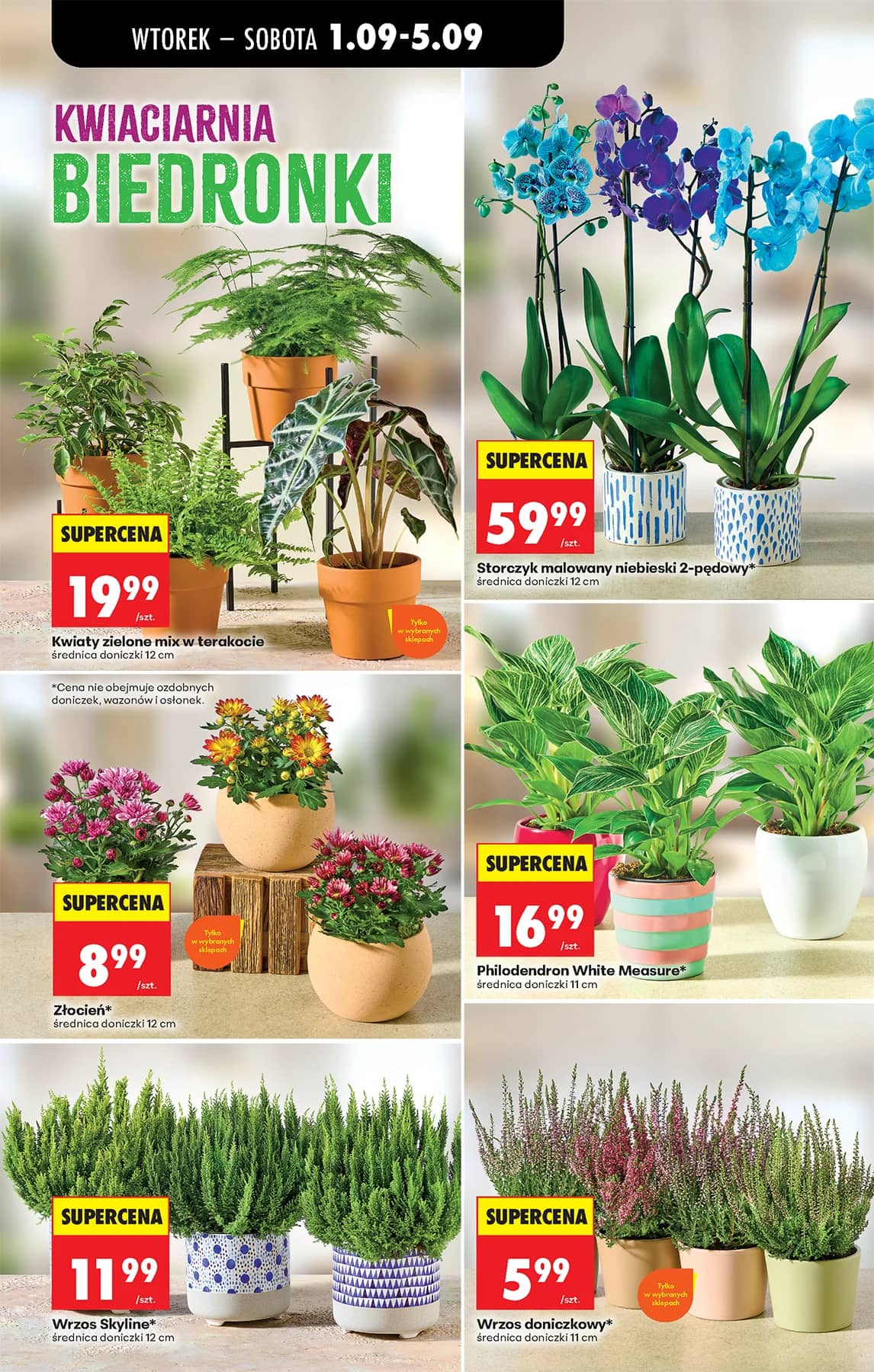 Biedronka - Codziennie niskie ceny P - oferta od 01.09 35 puslapis