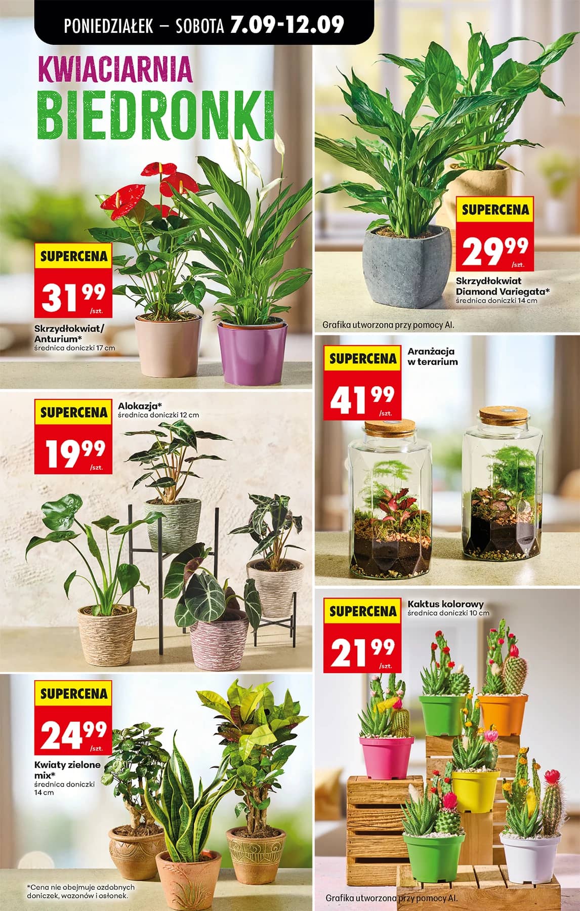 Biedronka - Codziennie niskie ceny P - oferta od 07.09 36 puslapis