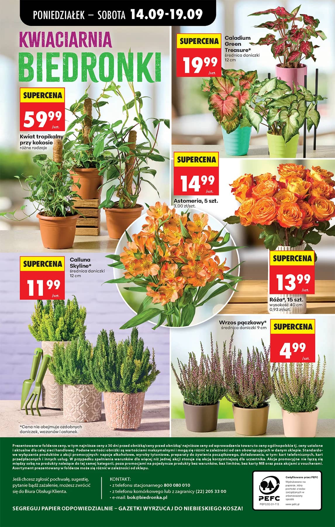 Biedronka - Codziennie niskie ceny P - oferta od 14.09 101 puslapis