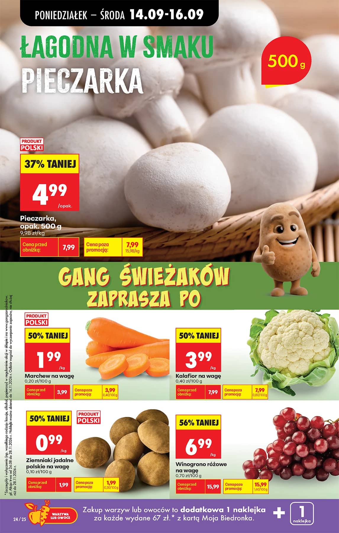 Biedronka - Codziennie niskie ceny P - oferta od 14.09 38 puslapis