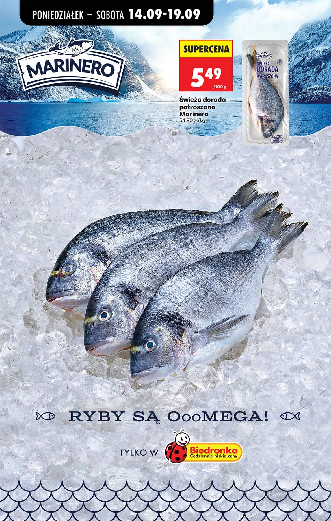 Biedronka - Codziennie niskie ceny P - oferta od 14.09 48 puslapis