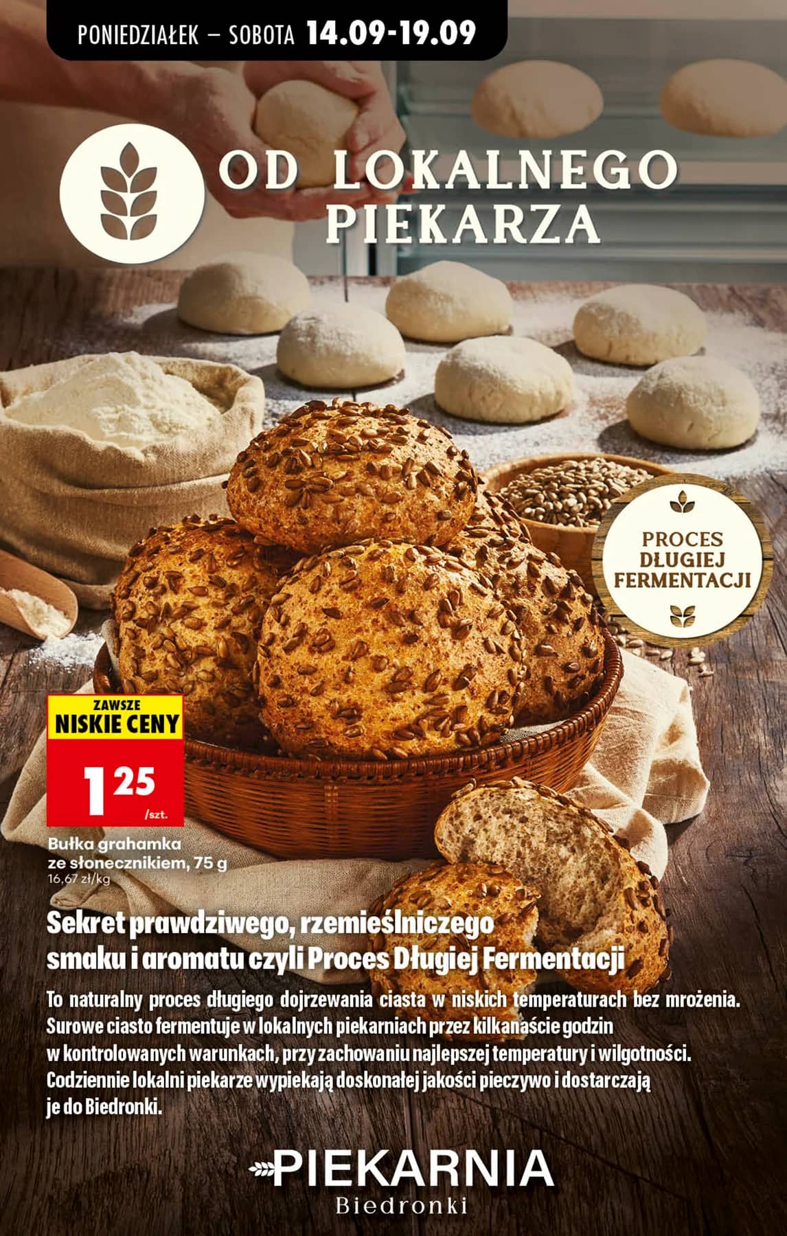 Biedronka - Codziennie niskie ceny P - oferta od 14.09 52 puslapis