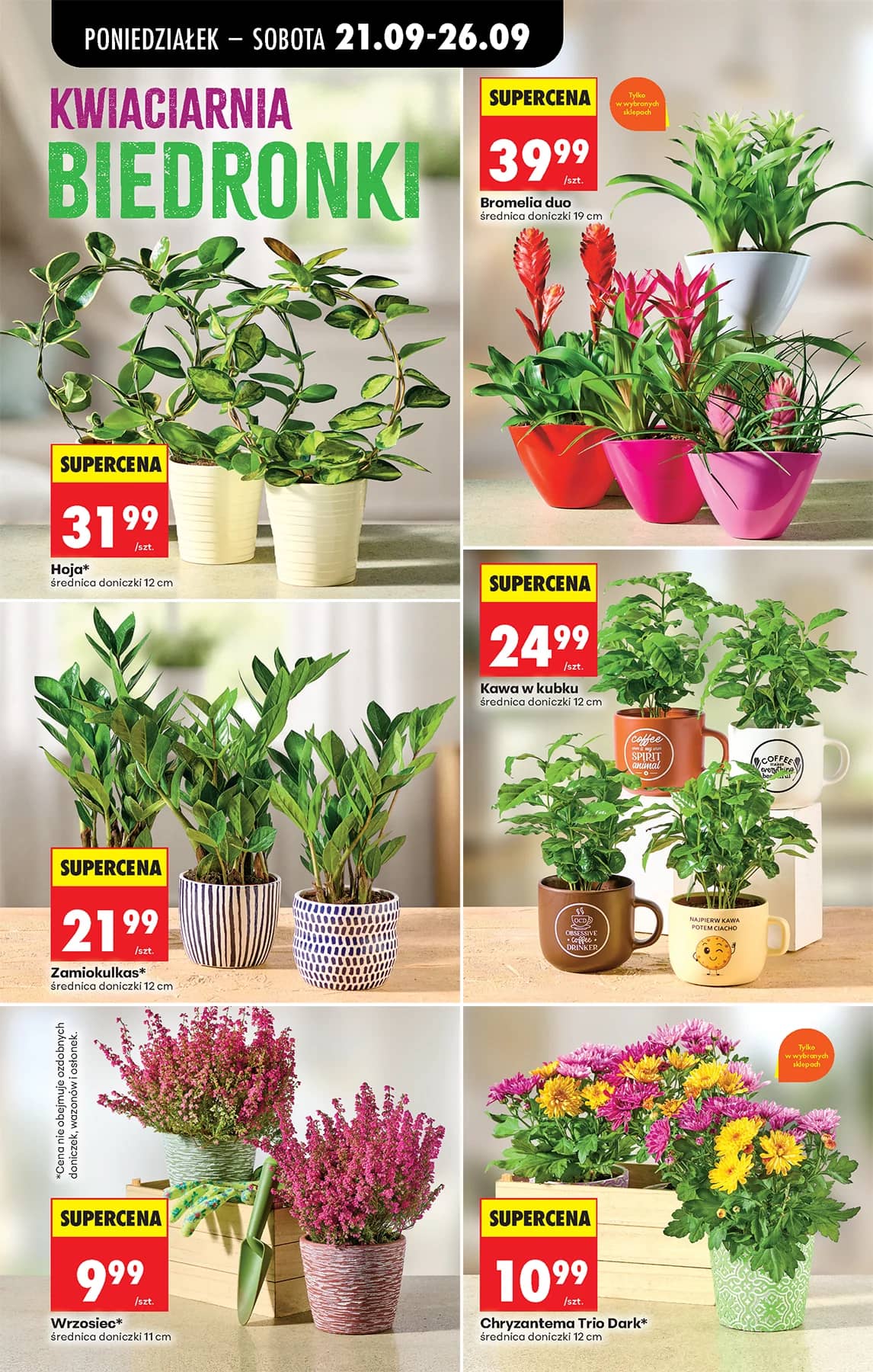 Biedronka - Codziennie niskie ceny P - oferta od 21.09 64 puslapis
