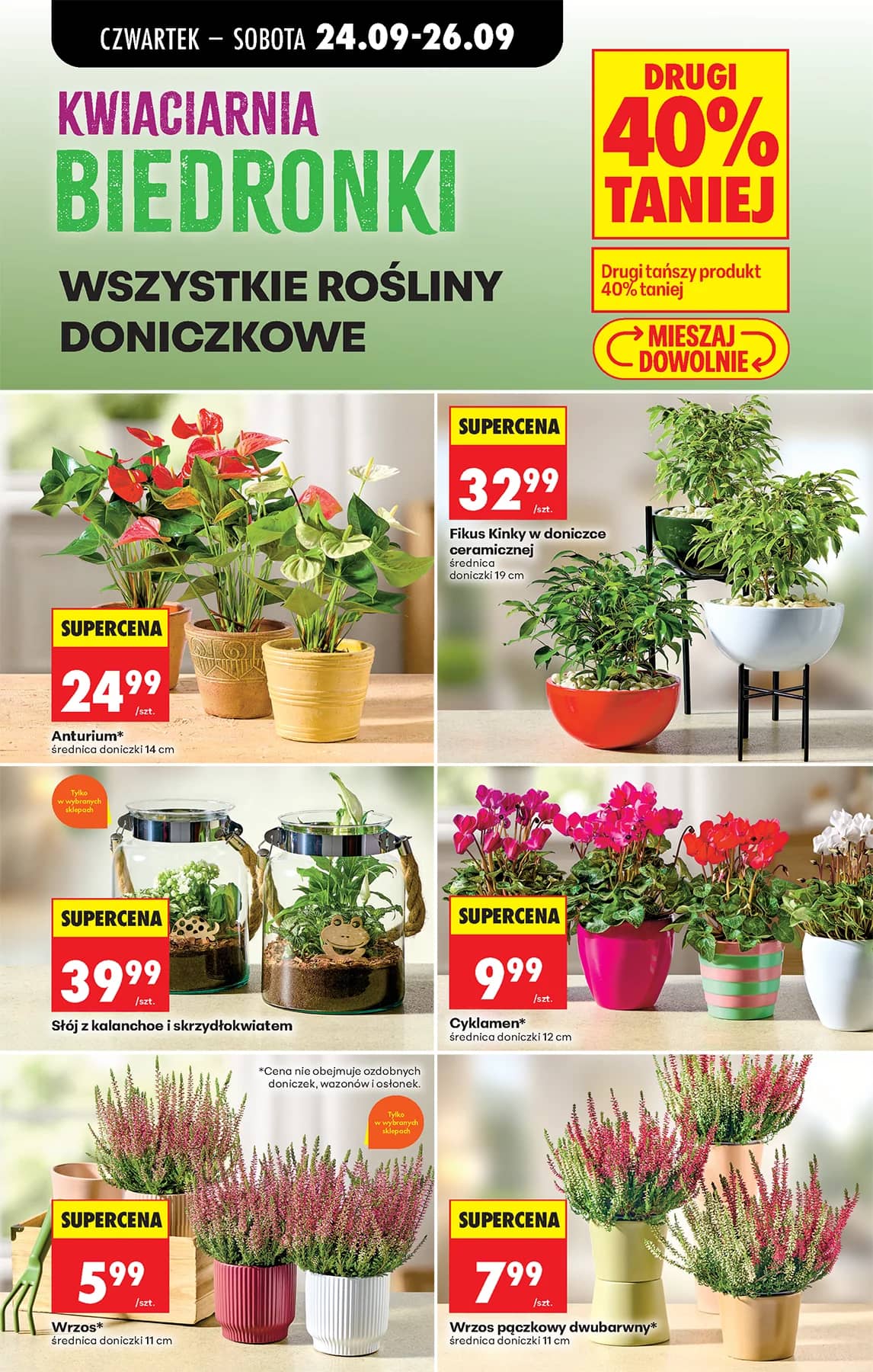 Biedronka - Codziennie niskie ceny P - oferta od 24.09 89 puslapis