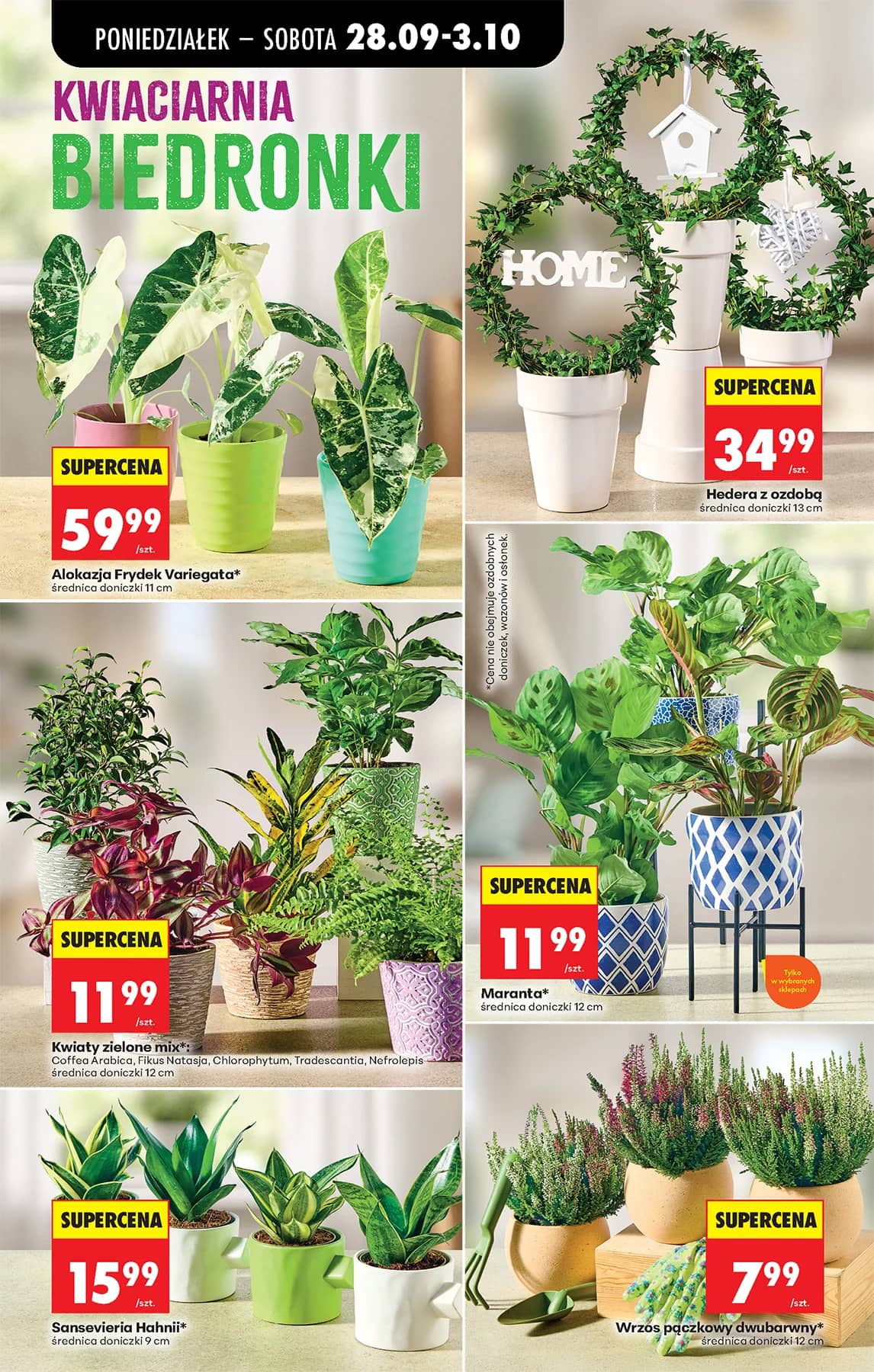 Biedronka - Codziennie niskie ceny P - oferta od 28.09 40 puslapis