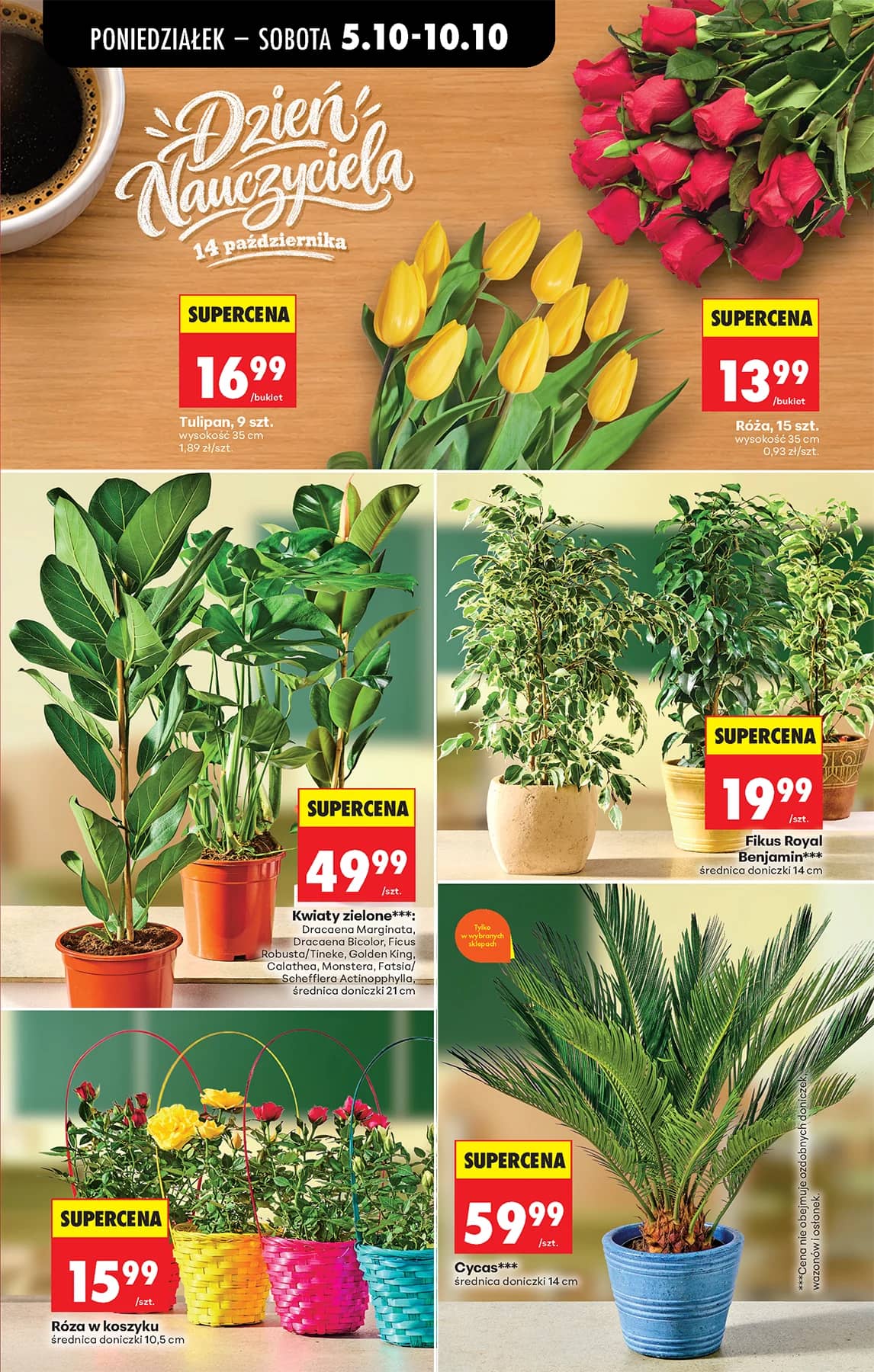 Biedronka - Codziennie niskie ceny P - oferta od 05.10 20 puslapis
