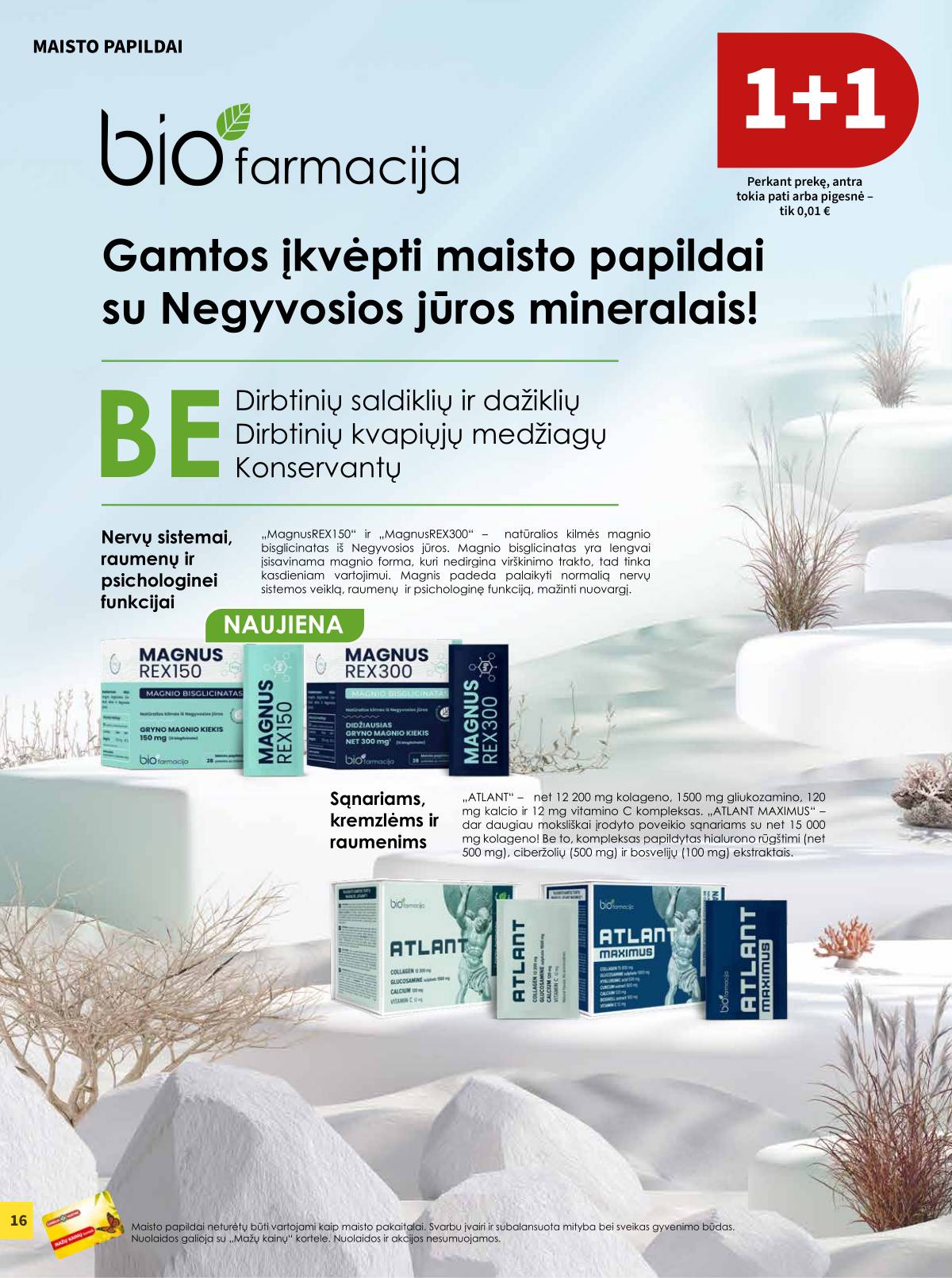 Camelia - Camelia akcijų leidinys 16 puslapis