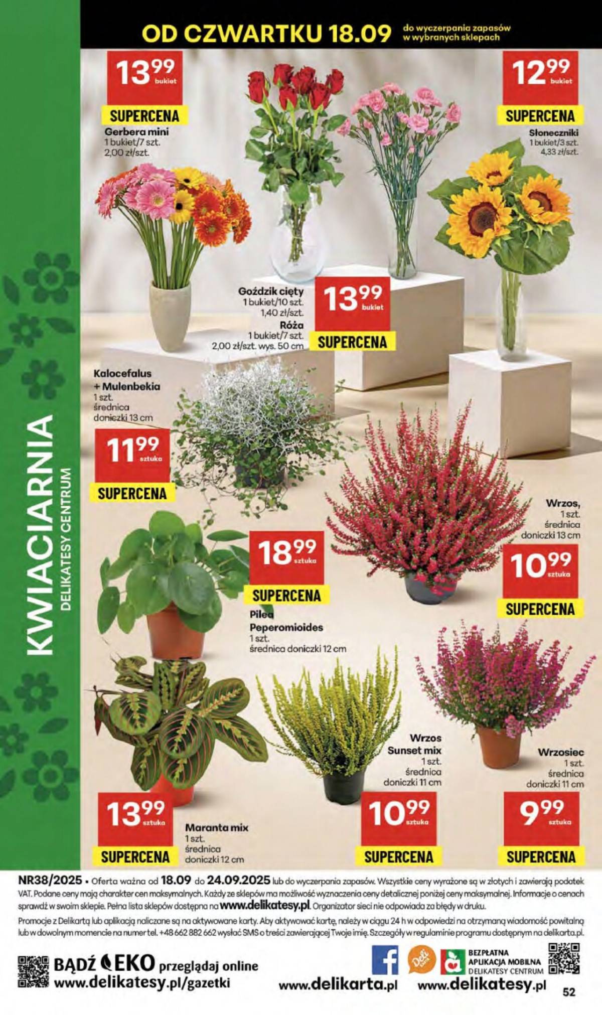 Delikatesy Centrum - Franczyza DC38 Czwartek 52 puslapis