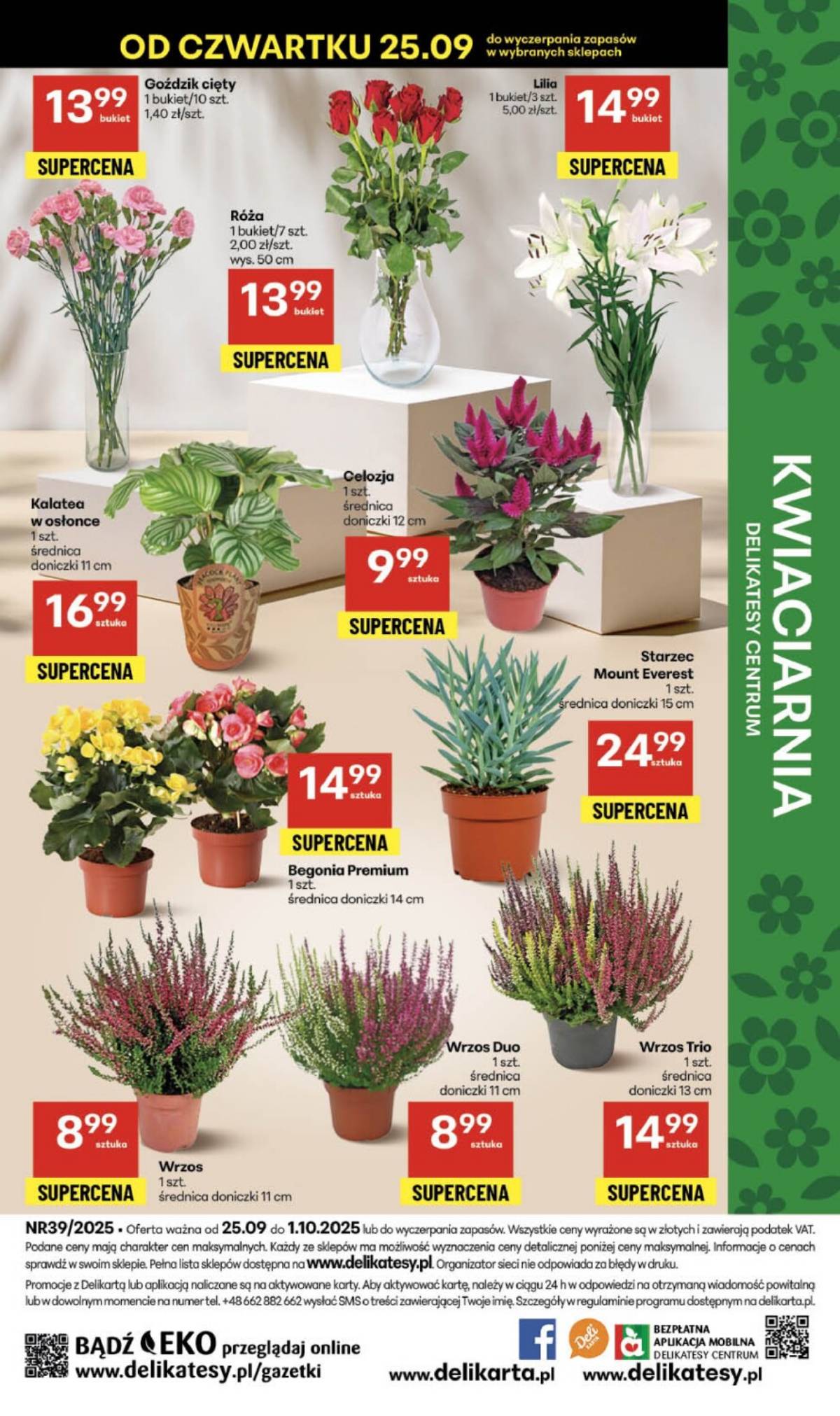 Delikatesy Centrum - Franczyza DC39 Czwartek 52 puslapis