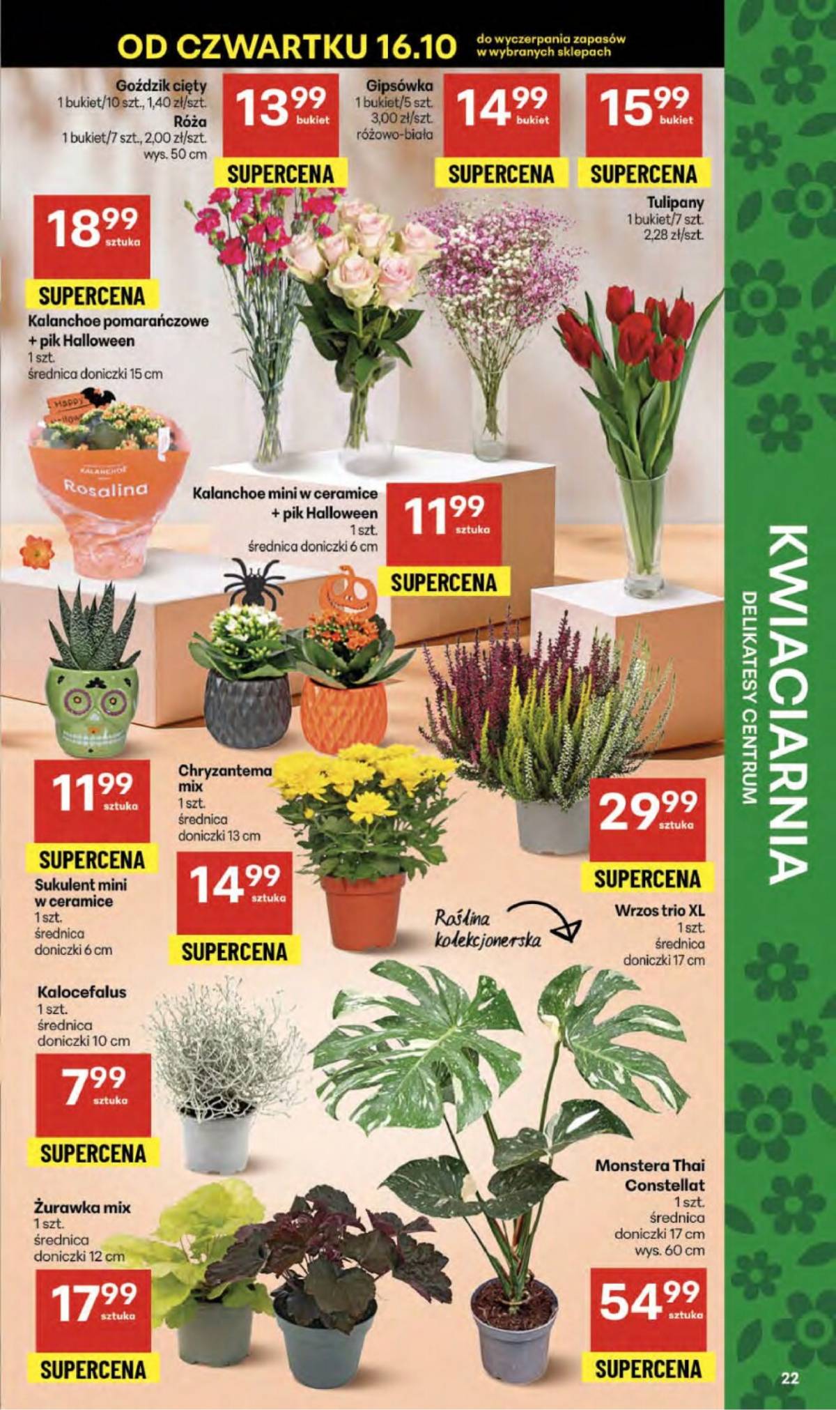 Delikatesy Centrum - Franczyza DC42 Czwartek 22 puslapis
