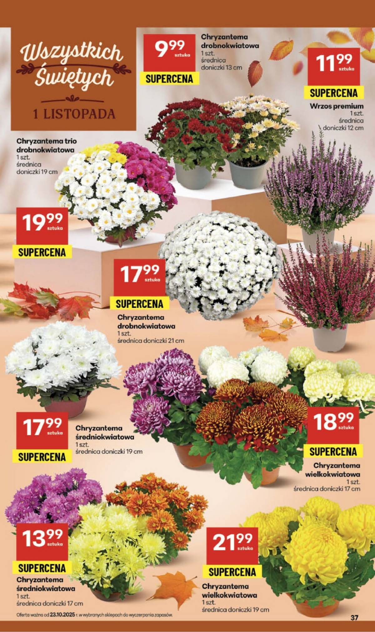 Delikatesy Centrum - Franczyza DC43 Czwartek 37 puslapis